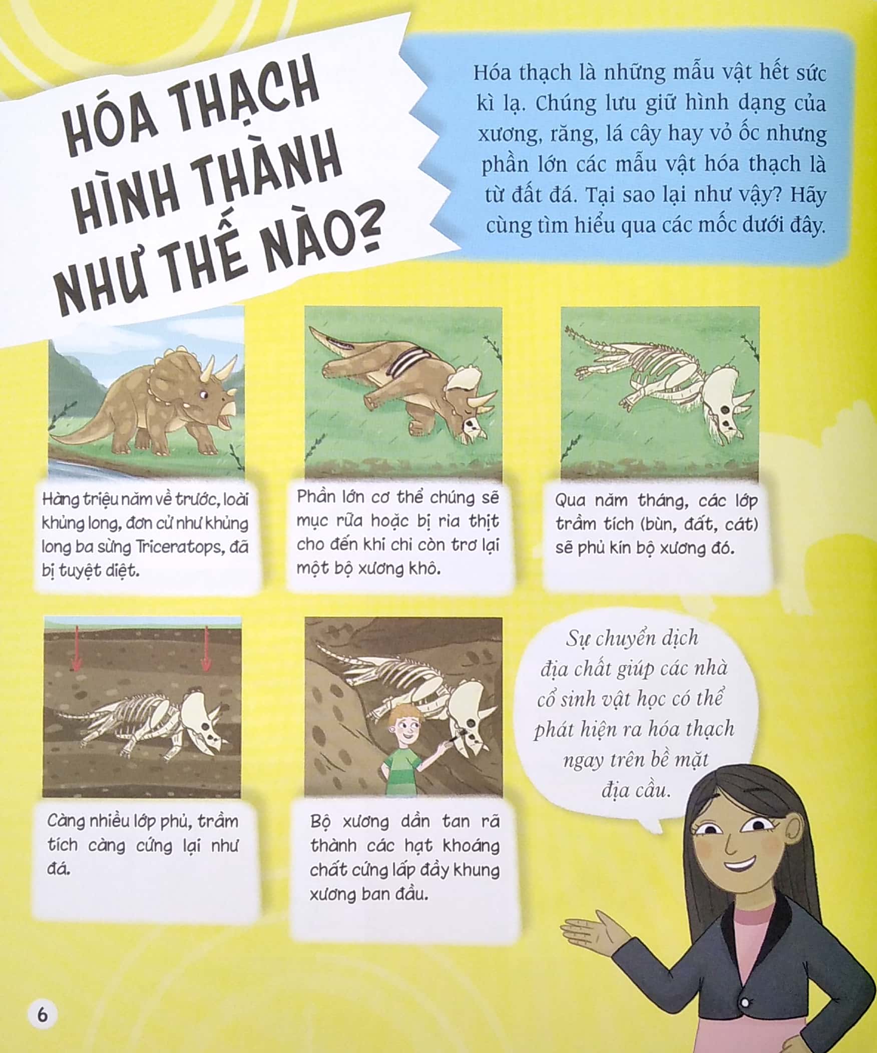 stem - tớ là thám tử khủng long - Ảnh 6