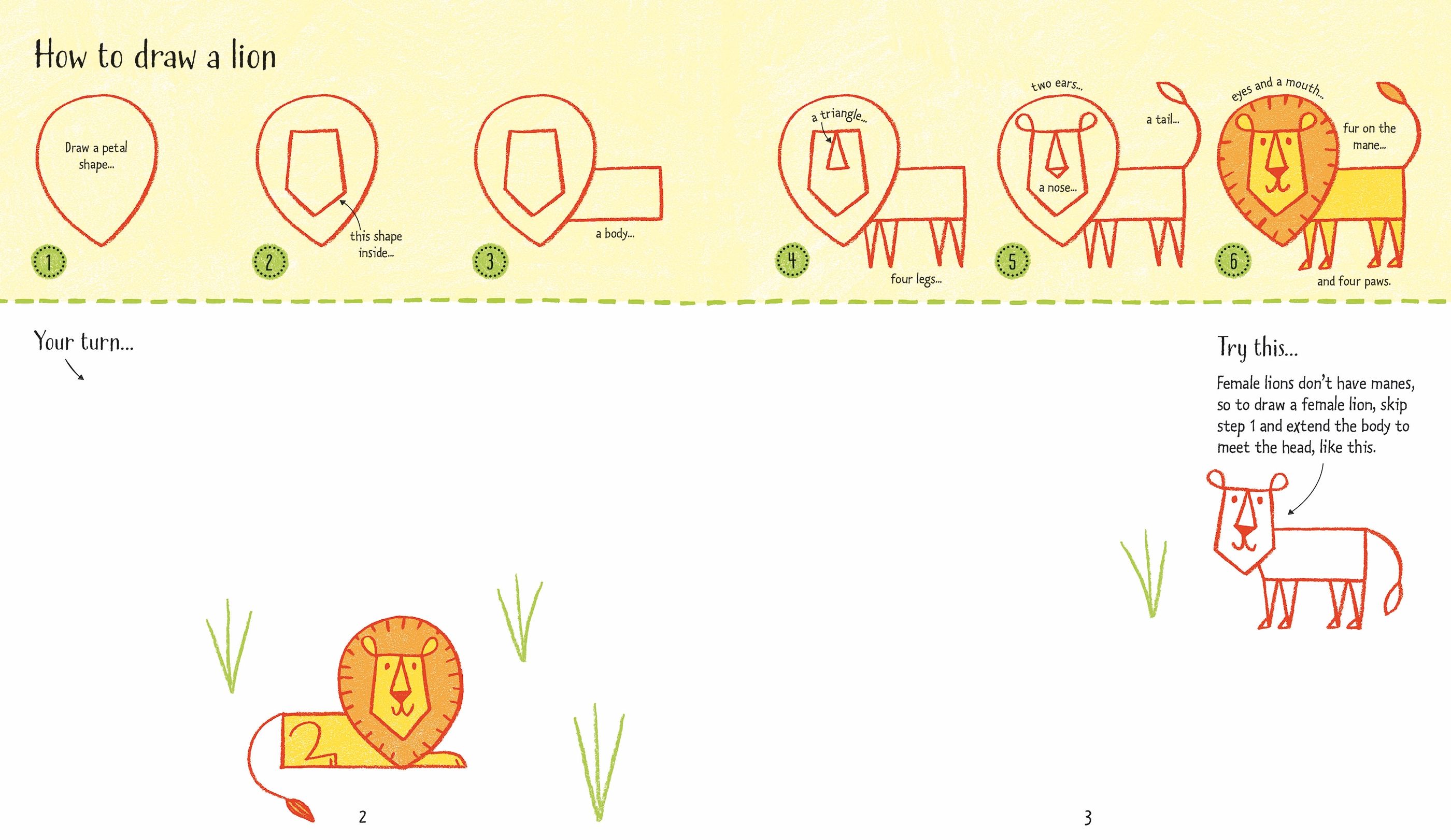 step-by-step drawing zoo animals - Ảnh 3