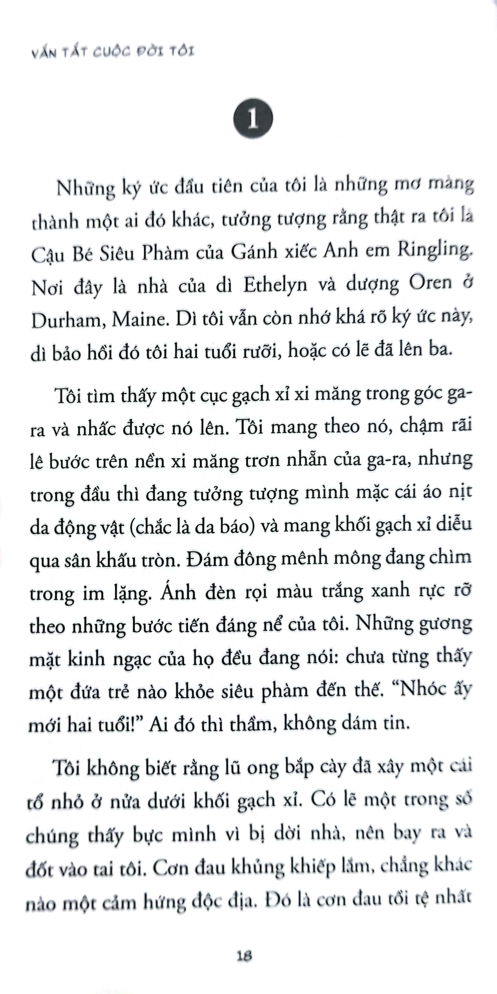 stephen king - chuyện nghề viết - Ảnh 5