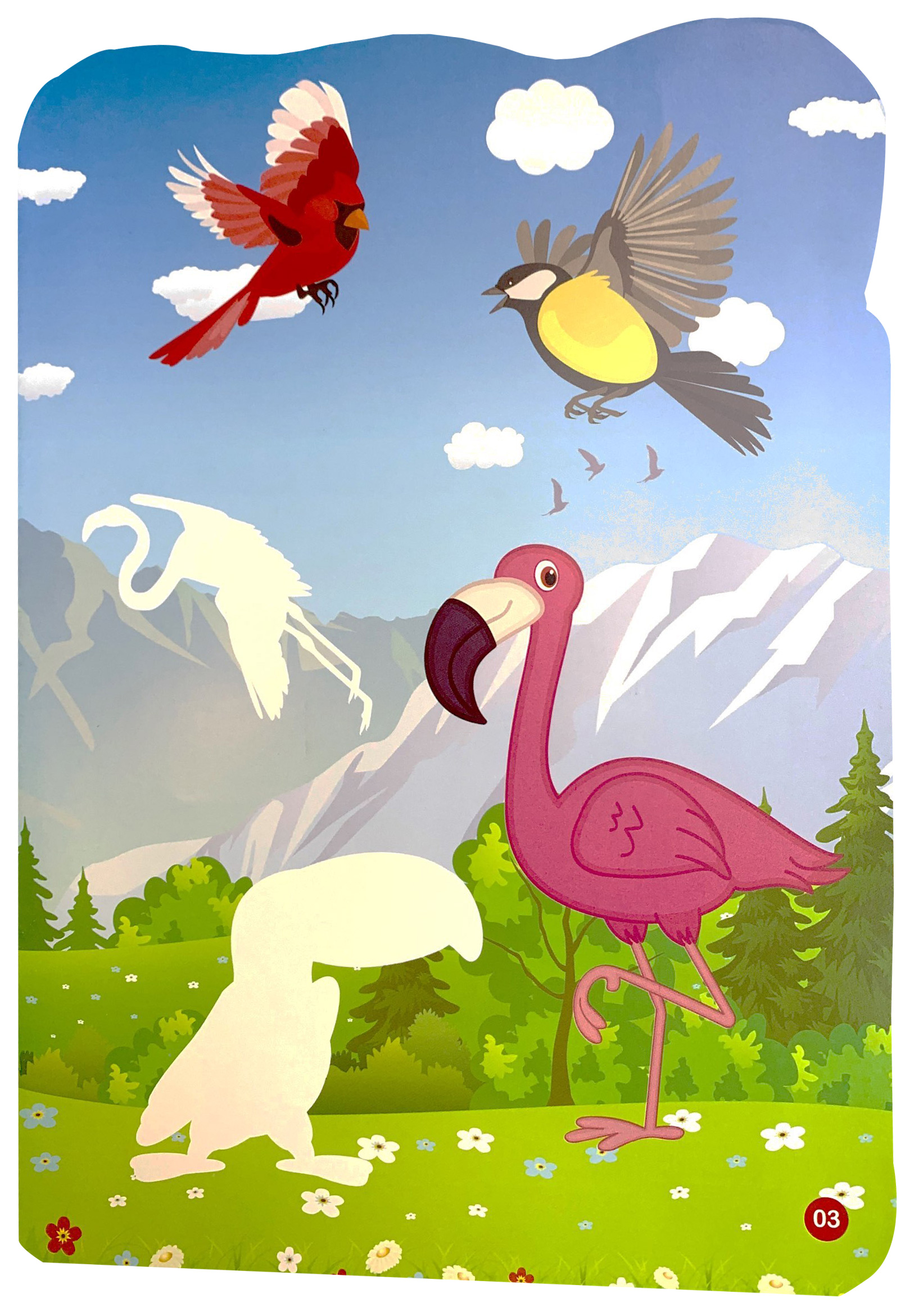 sticker dán hình thông minh - thế giới động vật - thế giới loài chim - Ảnh 4