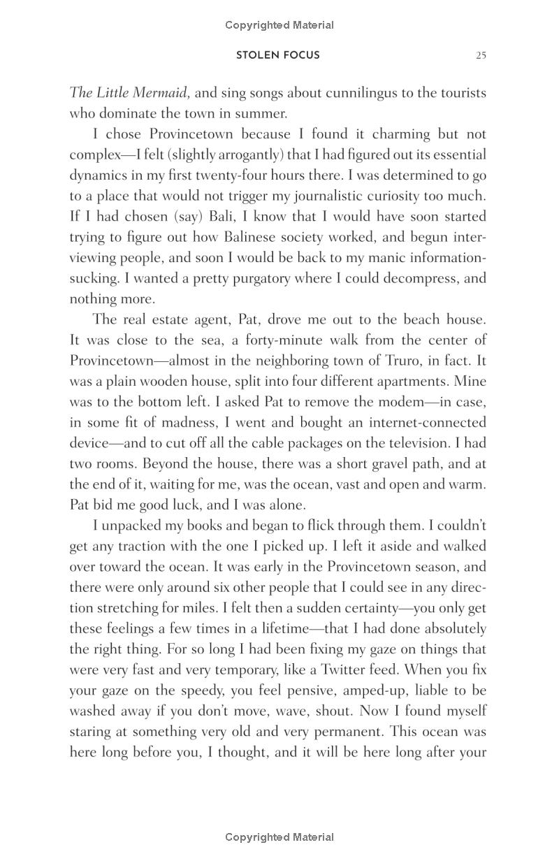 stolen focus: why you can't pay attention - Ảnh 13