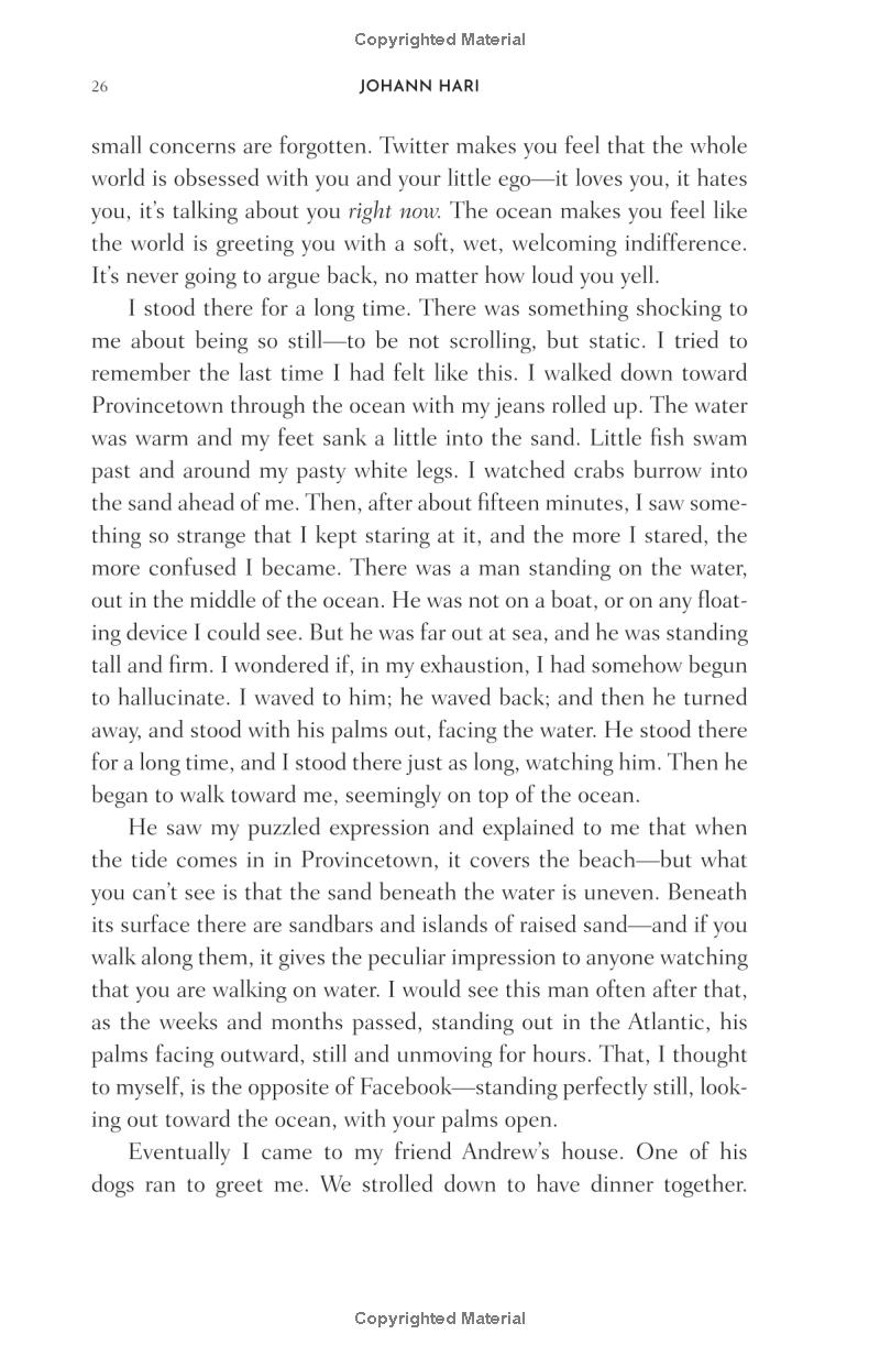 stolen focus: why you can't pay attention - Ảnh 14