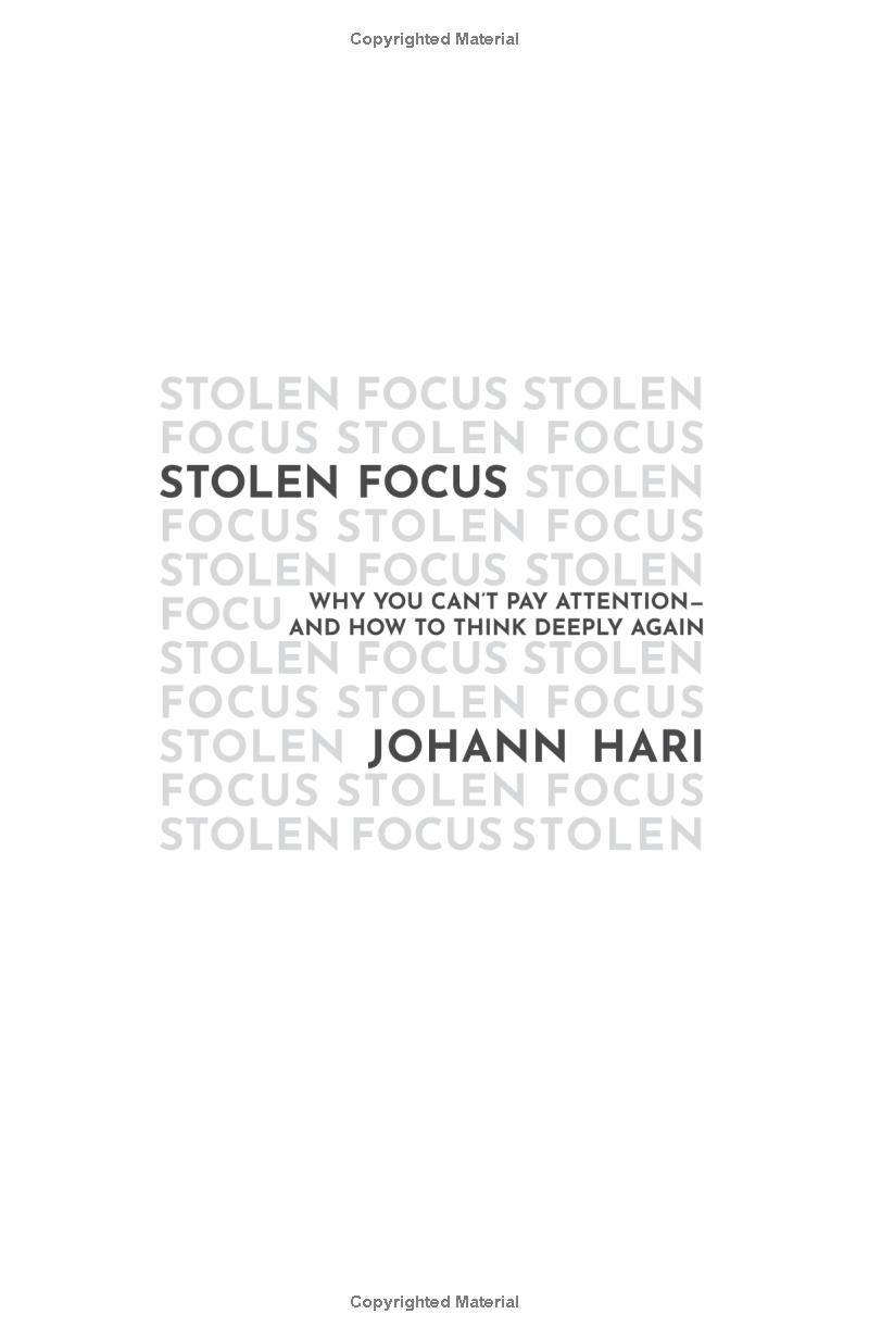 stolen focus: why you can't pay attention - Ảnh 3