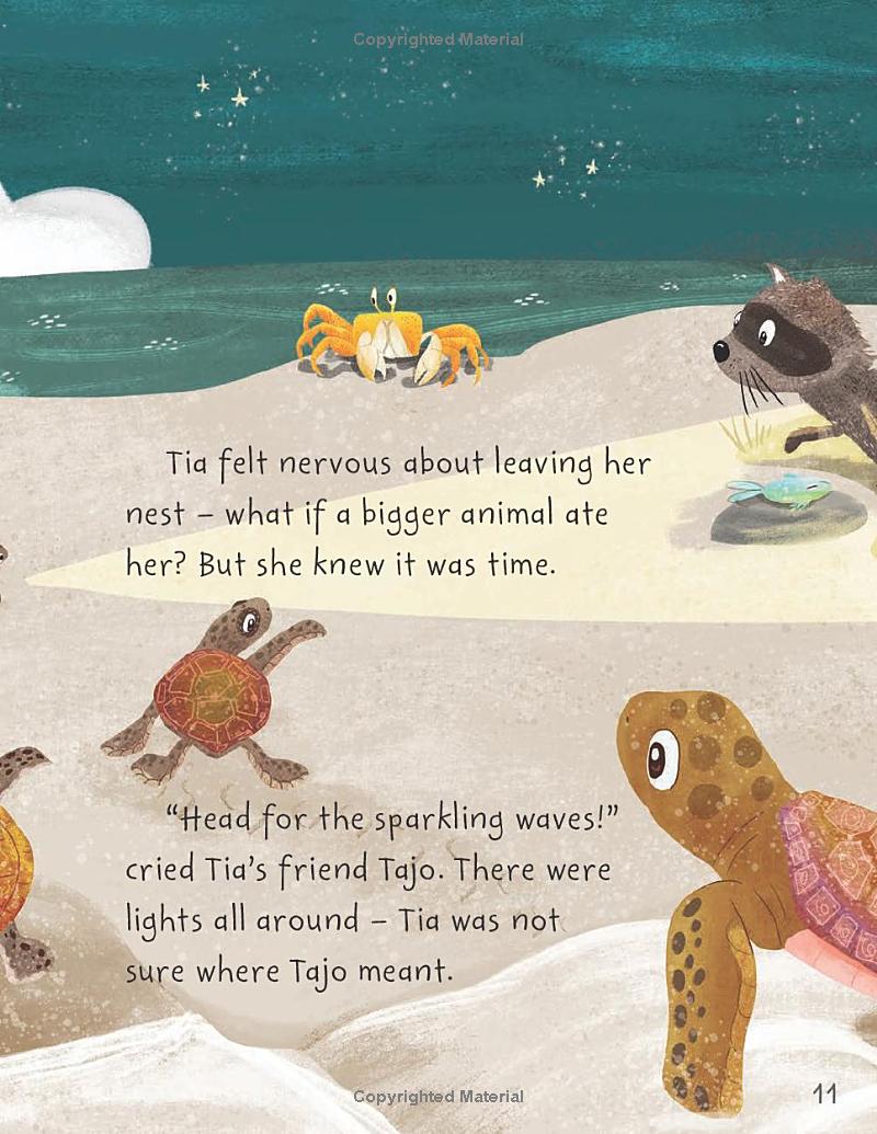 stories from the sea - Ảnh 13