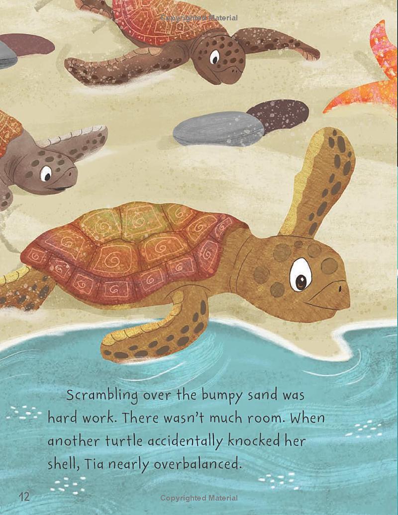 stories from the sea - Ảnh 14