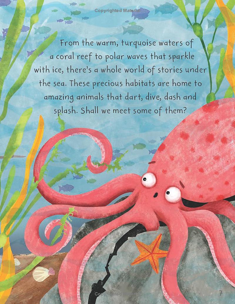 stories from the sea - Ảnh 9