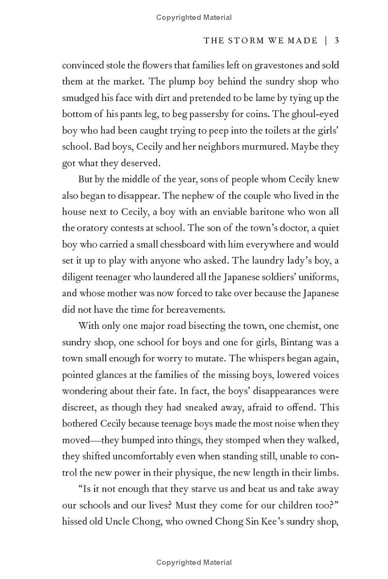 storm we made - Ảnh 5