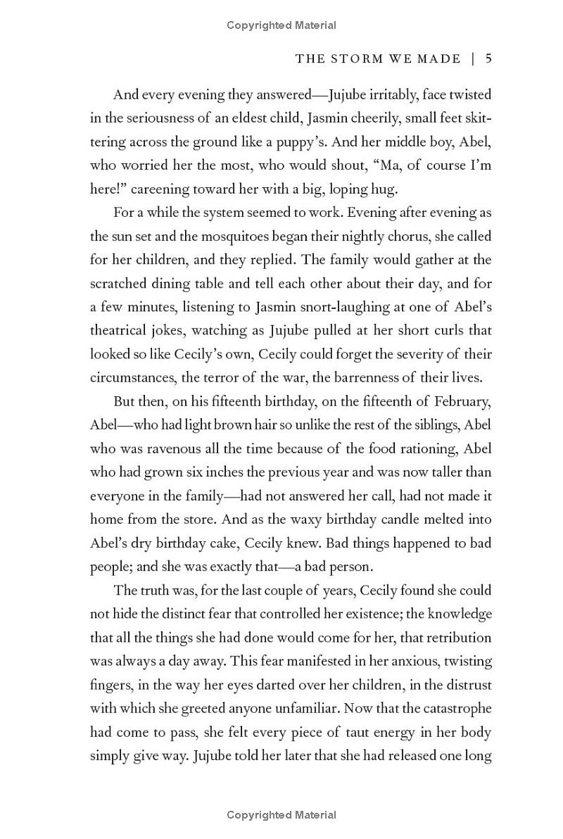 storm we made - Ảnh 7