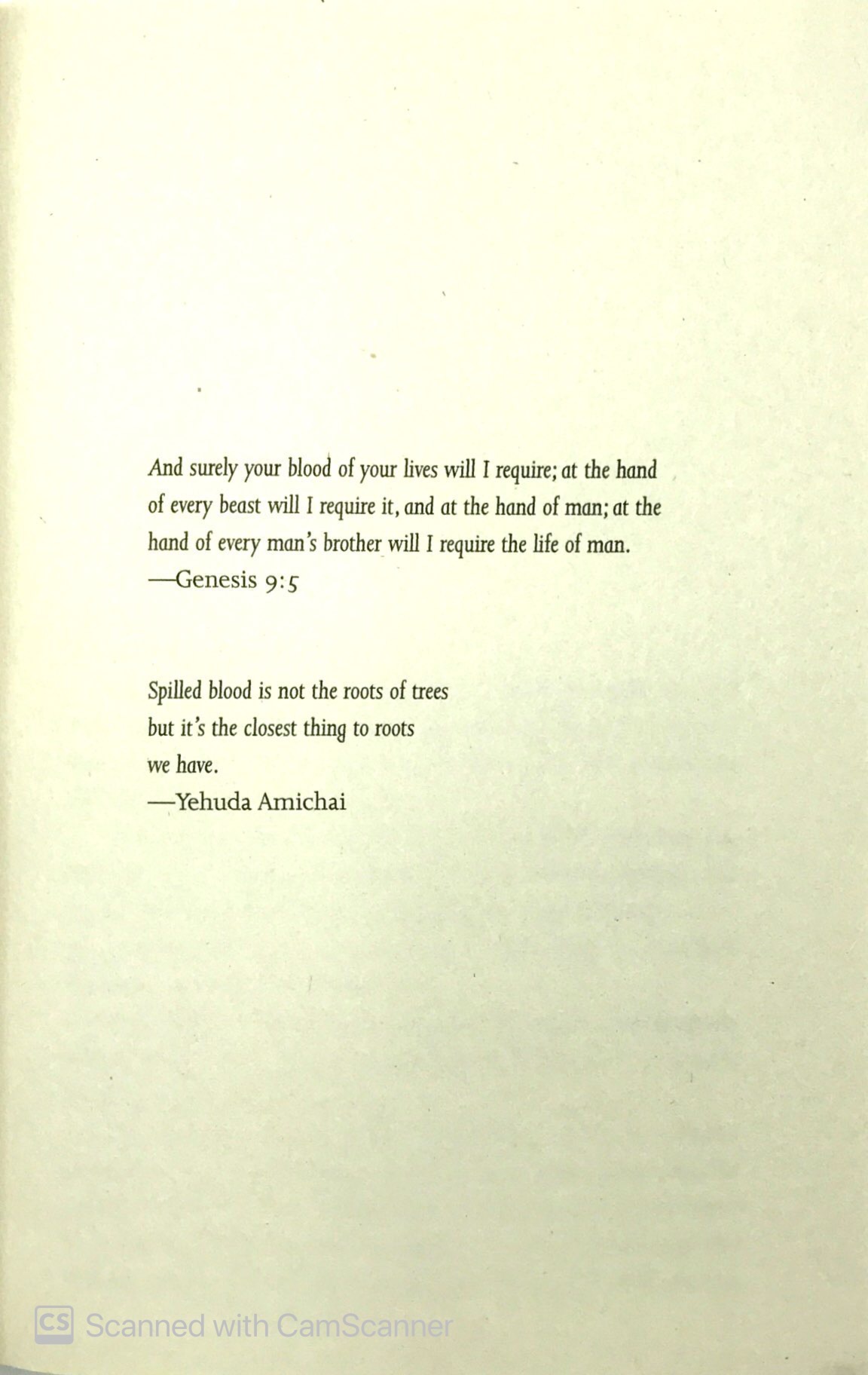 strangers with the same dream - Ảnh 3