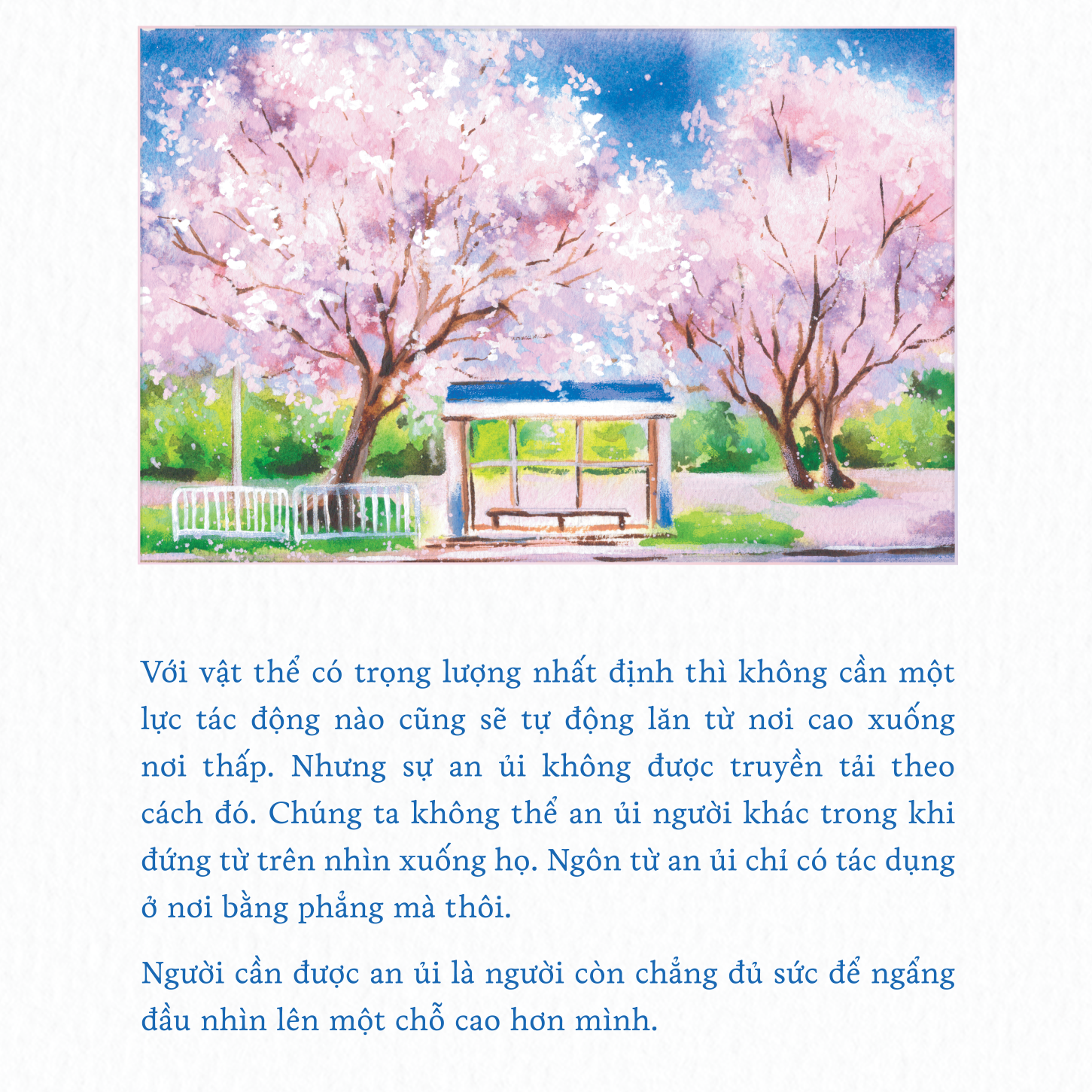 Su Dung Di Cua Ngon Tu - Ảnh 3