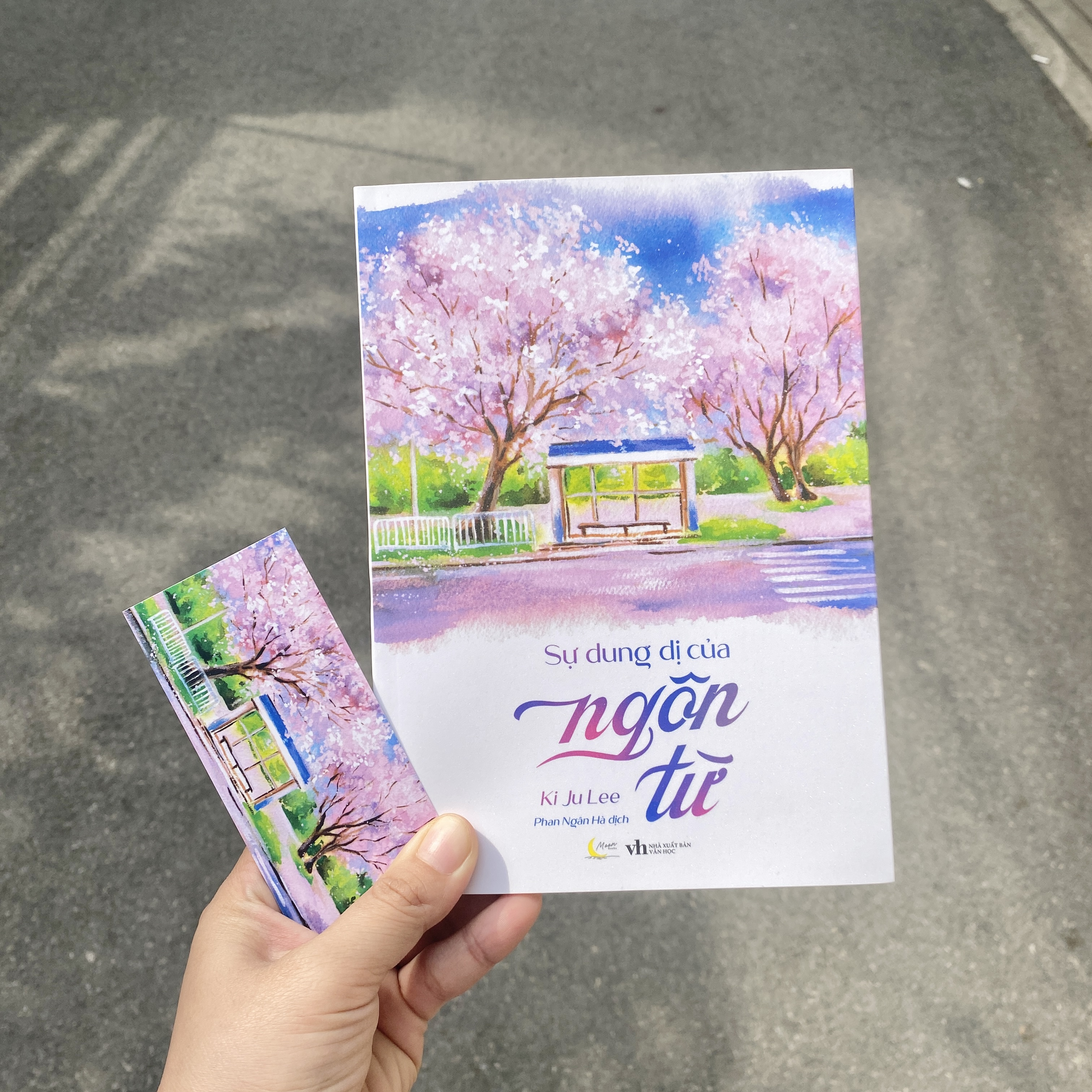 Su Dung Di Cua Ngon Tu - Ảnh 4