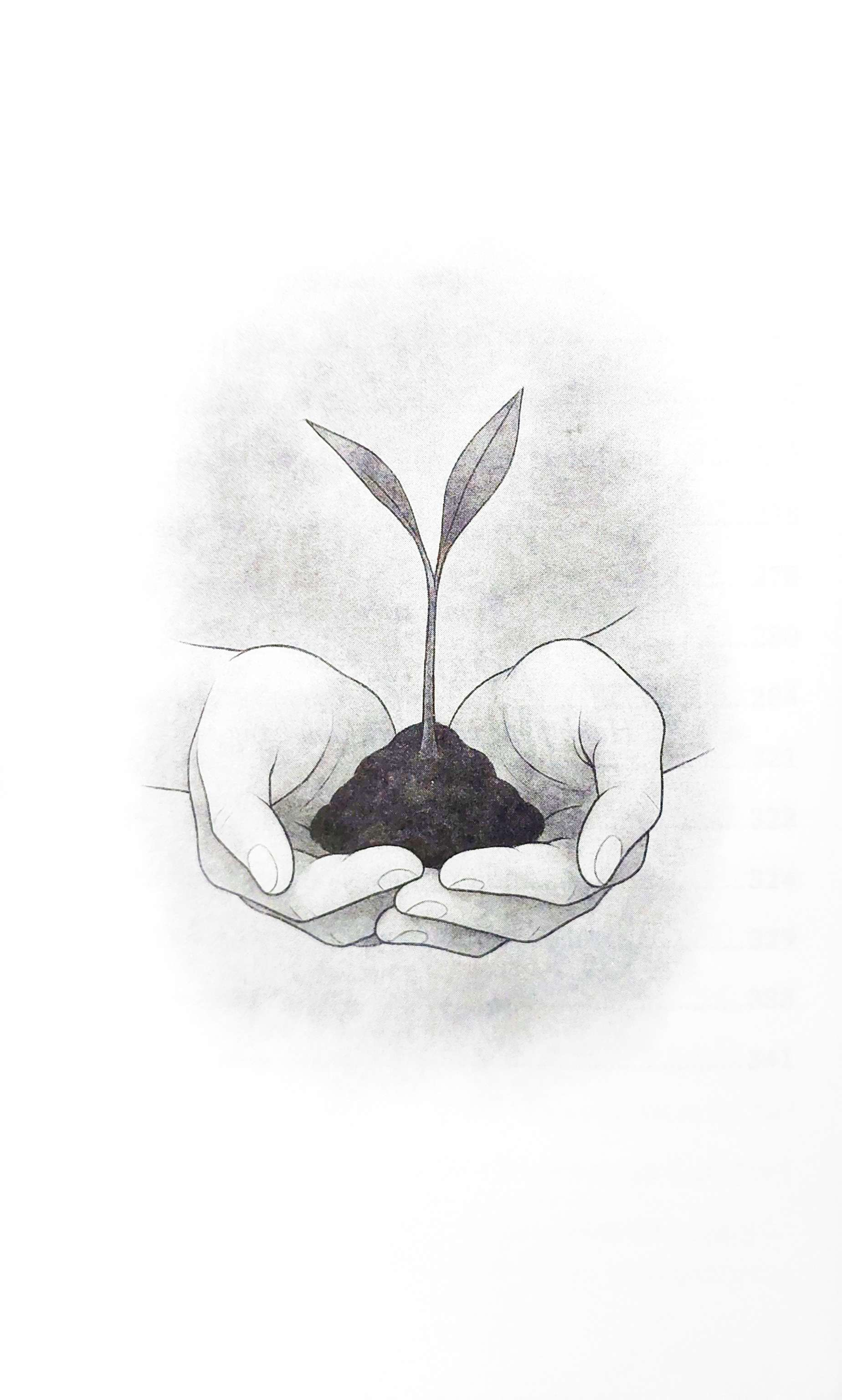 Sứ Mệnh Người Thầy - Ảnh 5