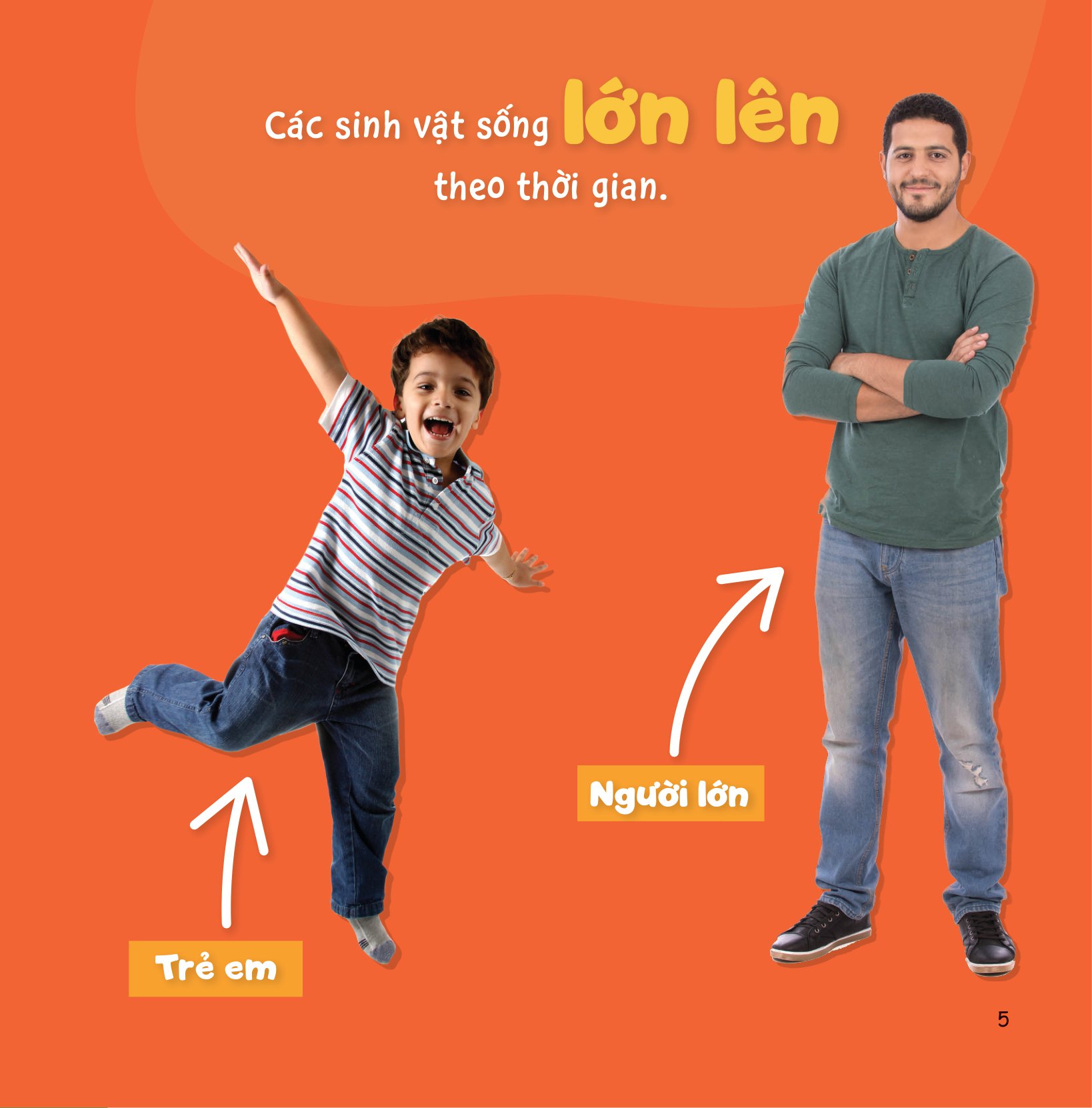 sự sinh trưởng kỳ diệu của vạn vật - vòng đời của bướm - Ảnh 4