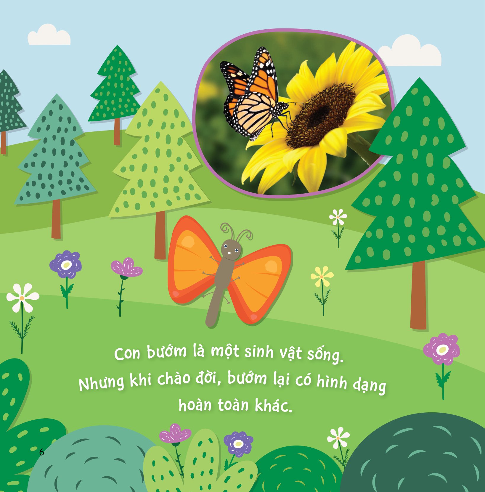 sự sinh trưởng kỳ diệu của vạn vật - vòng đời của bướm - Ảnh 5