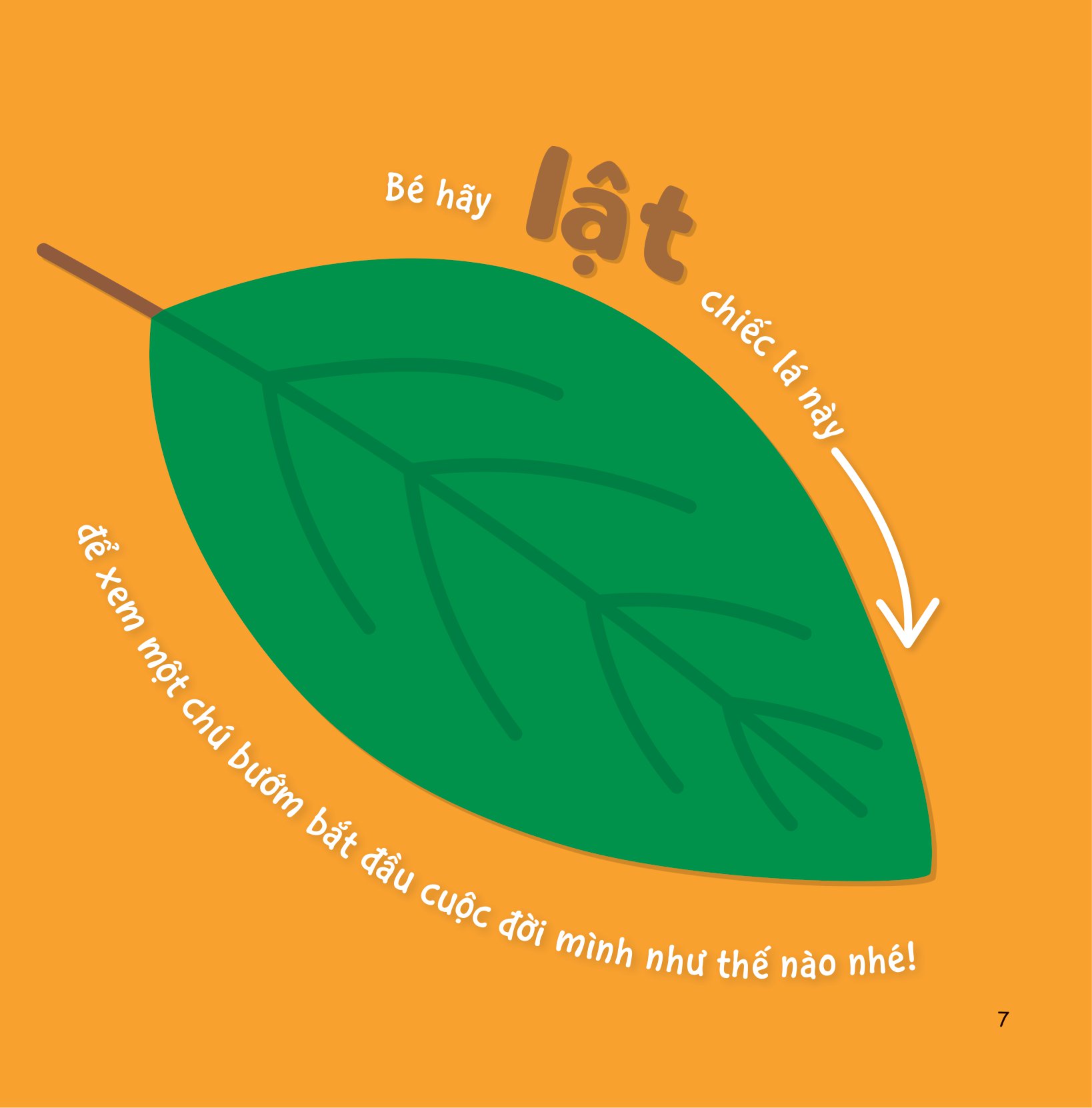 sự sinh trưởng kỳ diệu của vạn vật - vòng đời của bướm - Ảnh 6