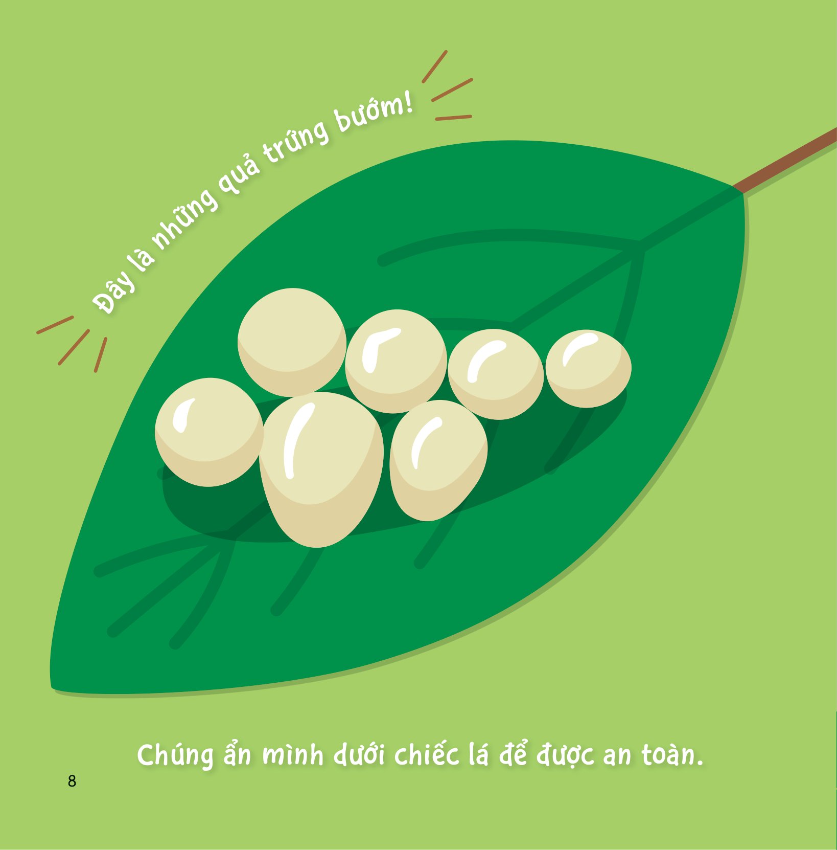 sự sinh trưởng kỳ diệu của vạn vật - vòng đời của bướm - Ảnh 7