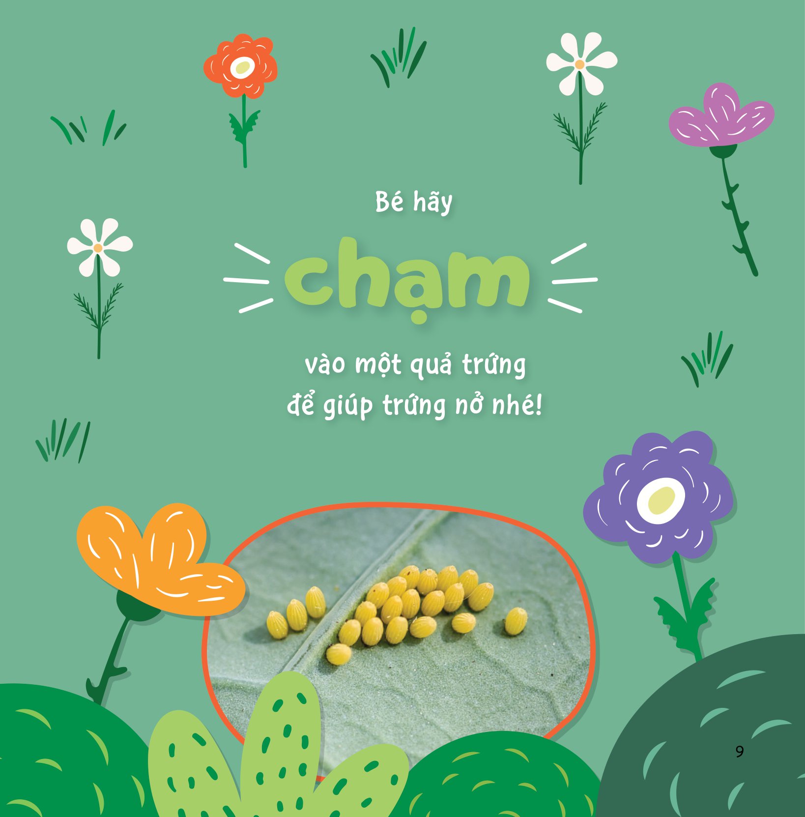 sự sinh trưởng kỳ diệu của vạn vật - vòng đời của bướm - Ảnh 8