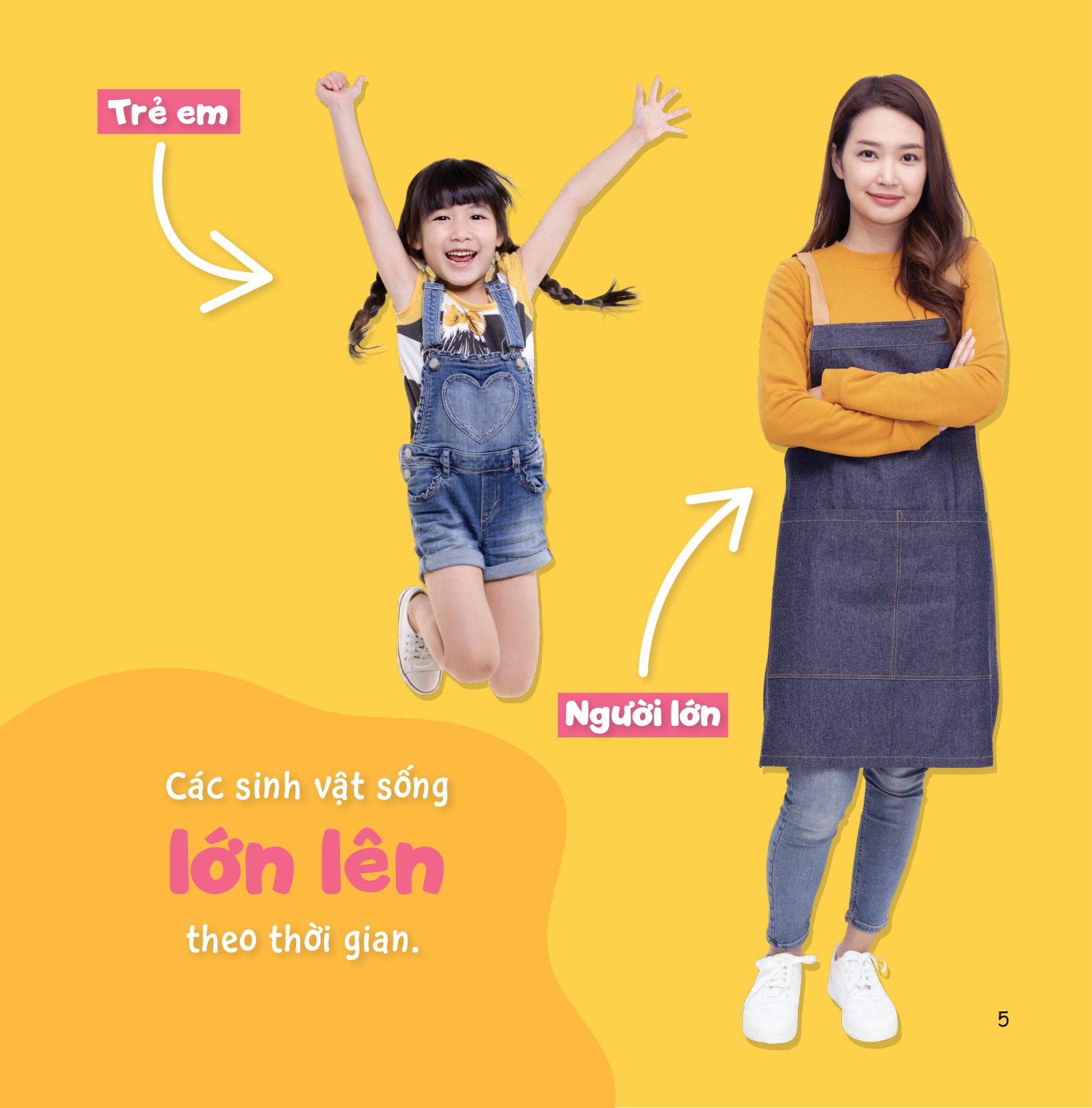 sự sinh trưởng kỳ diệu của vạn vật - vòng đời của cây - Ảnh 4