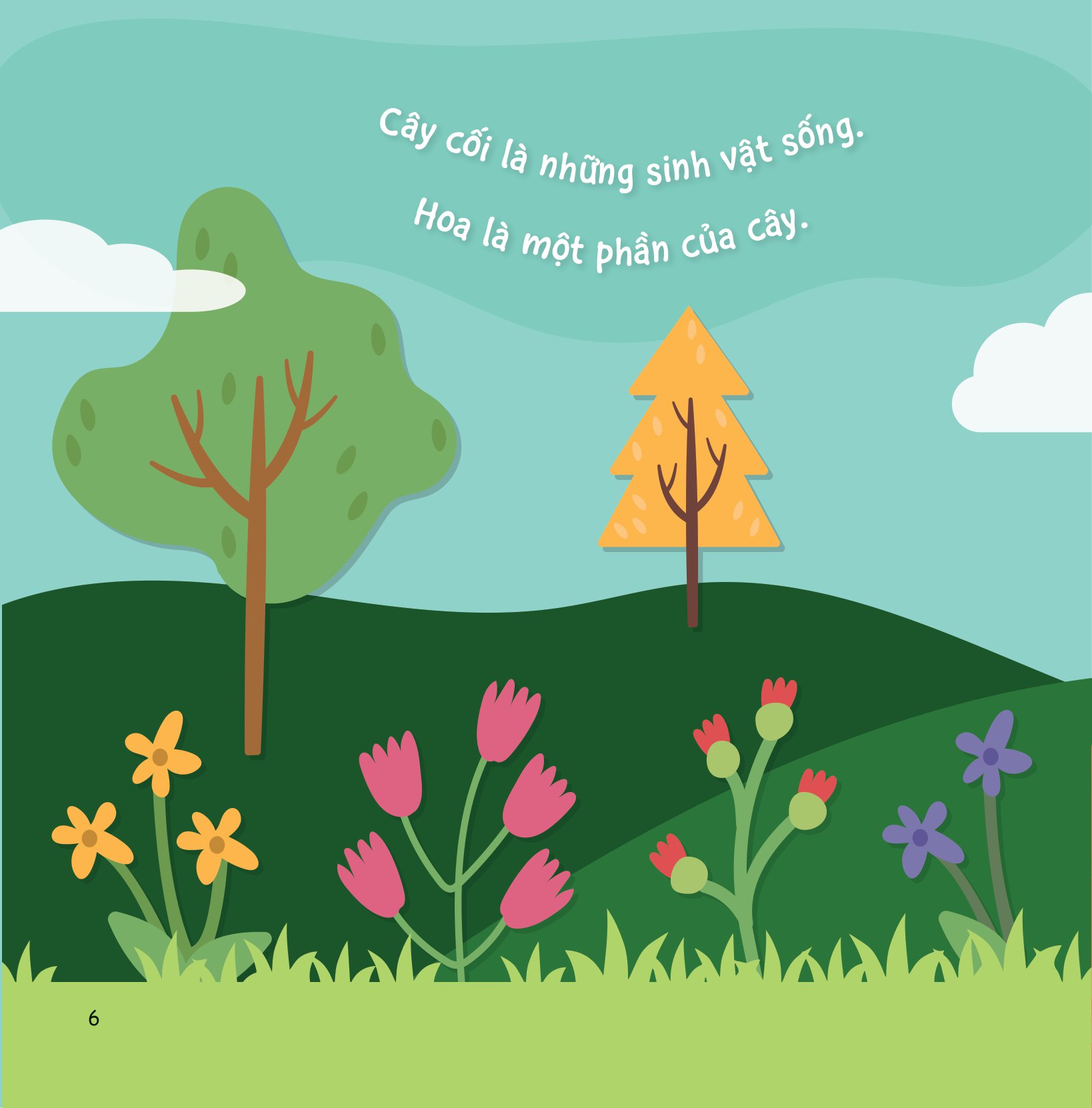 sự sinh trưởng kỳ diệu của vạn vật - vòng đời của cây - Ảnh 5