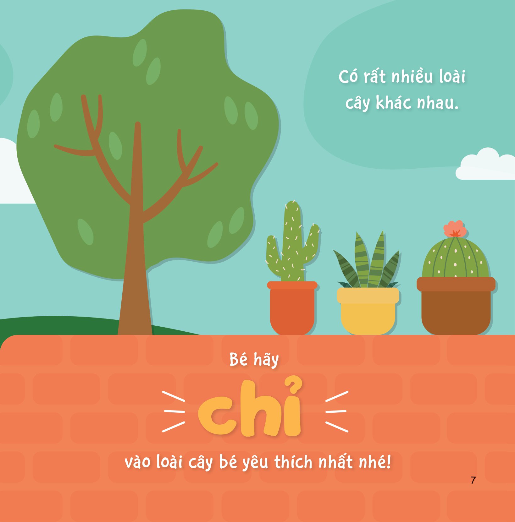 sự sinh trưởng kỳ diệu của vạn vật - vòng đời của cây - Ảnh 6