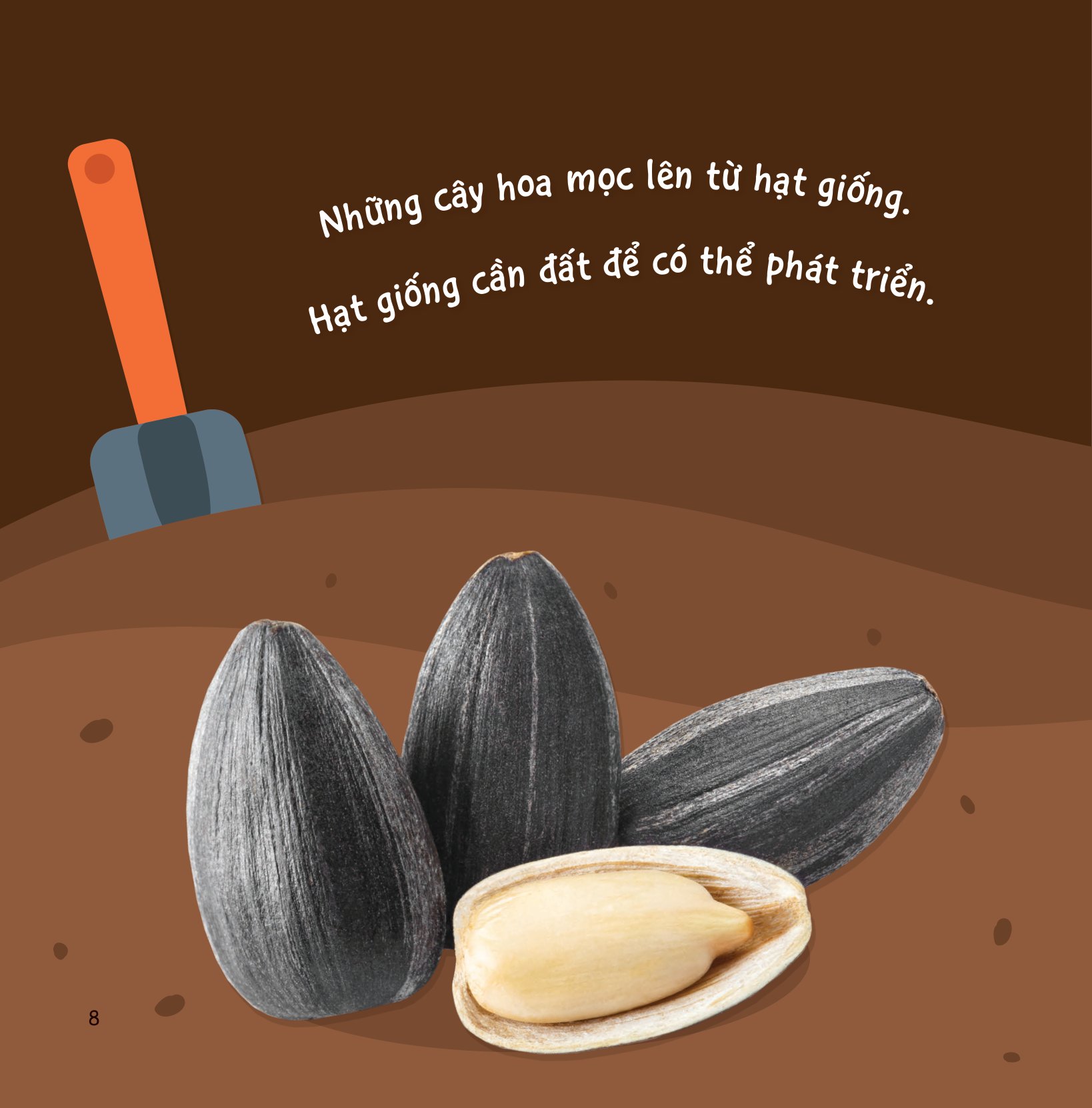 sự sinh trưởng kỳ diệu của vạn vật - vòng đời của cây - Ảnh 7