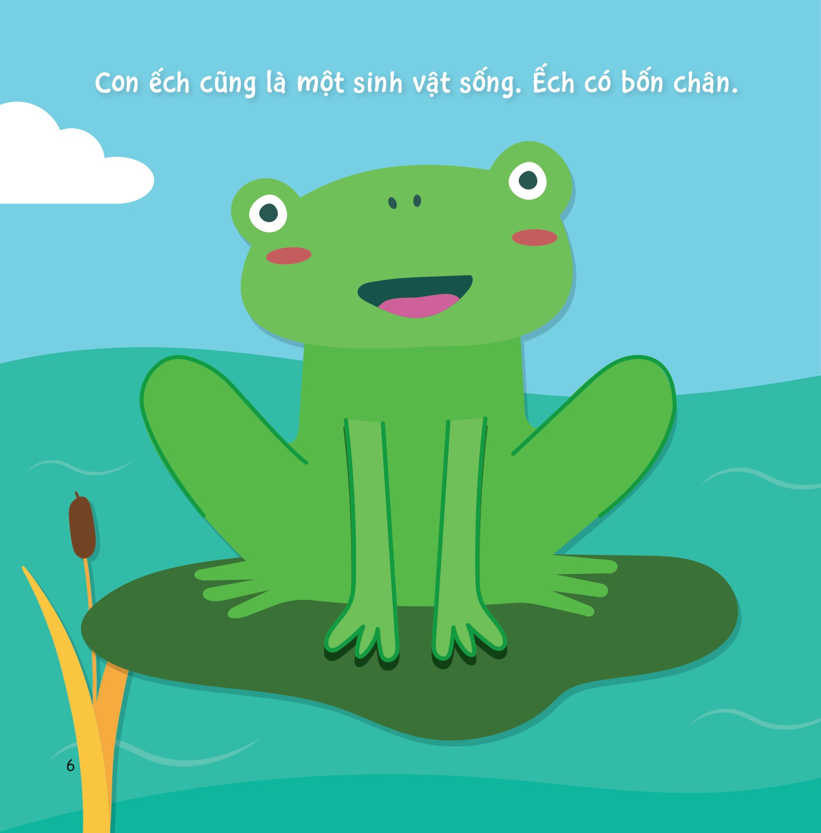 sự sinh trưởng kỳ diệu của vạn vật - vòng đời của ếch - Ảnh 5