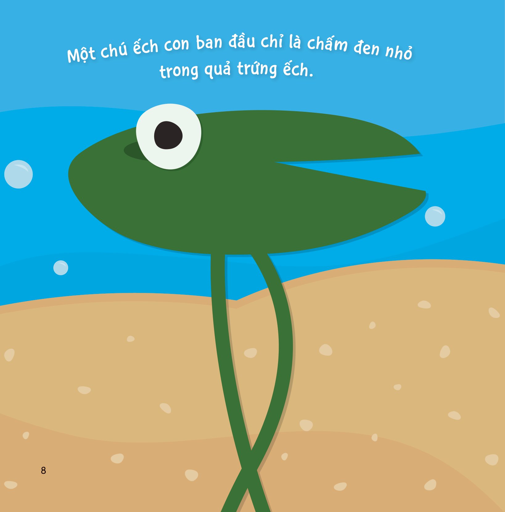 sự sinh trưởng kỳ diệu của vạn vật - vòng đời của ếch - Ảnh 7