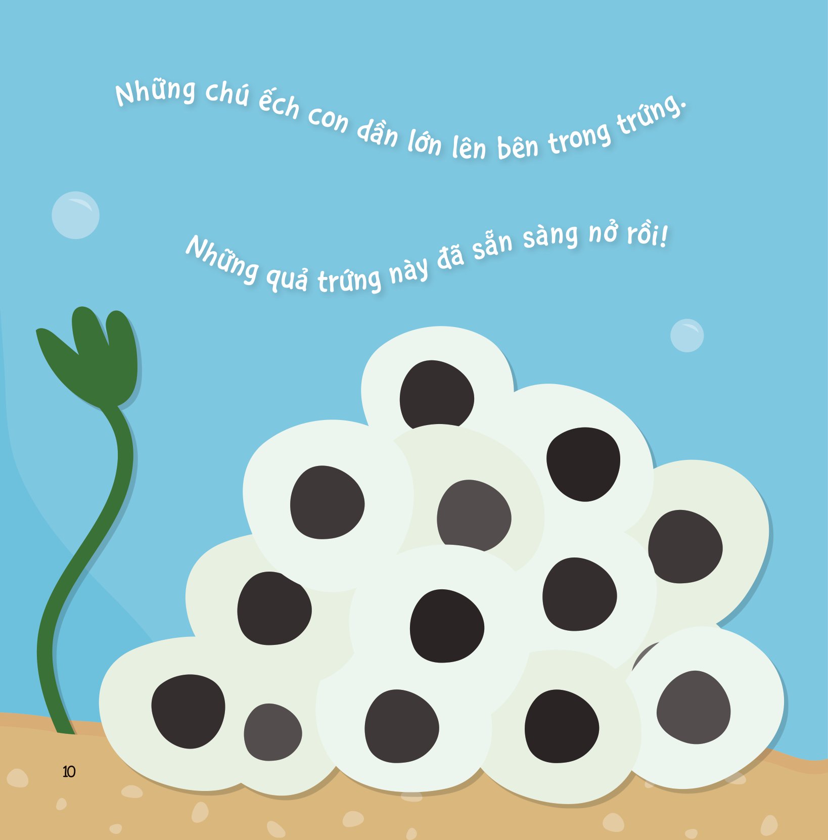 sự sinh trưởng kỳ diệu của vạn vật - vòng đời của ếch - Ảnh 9