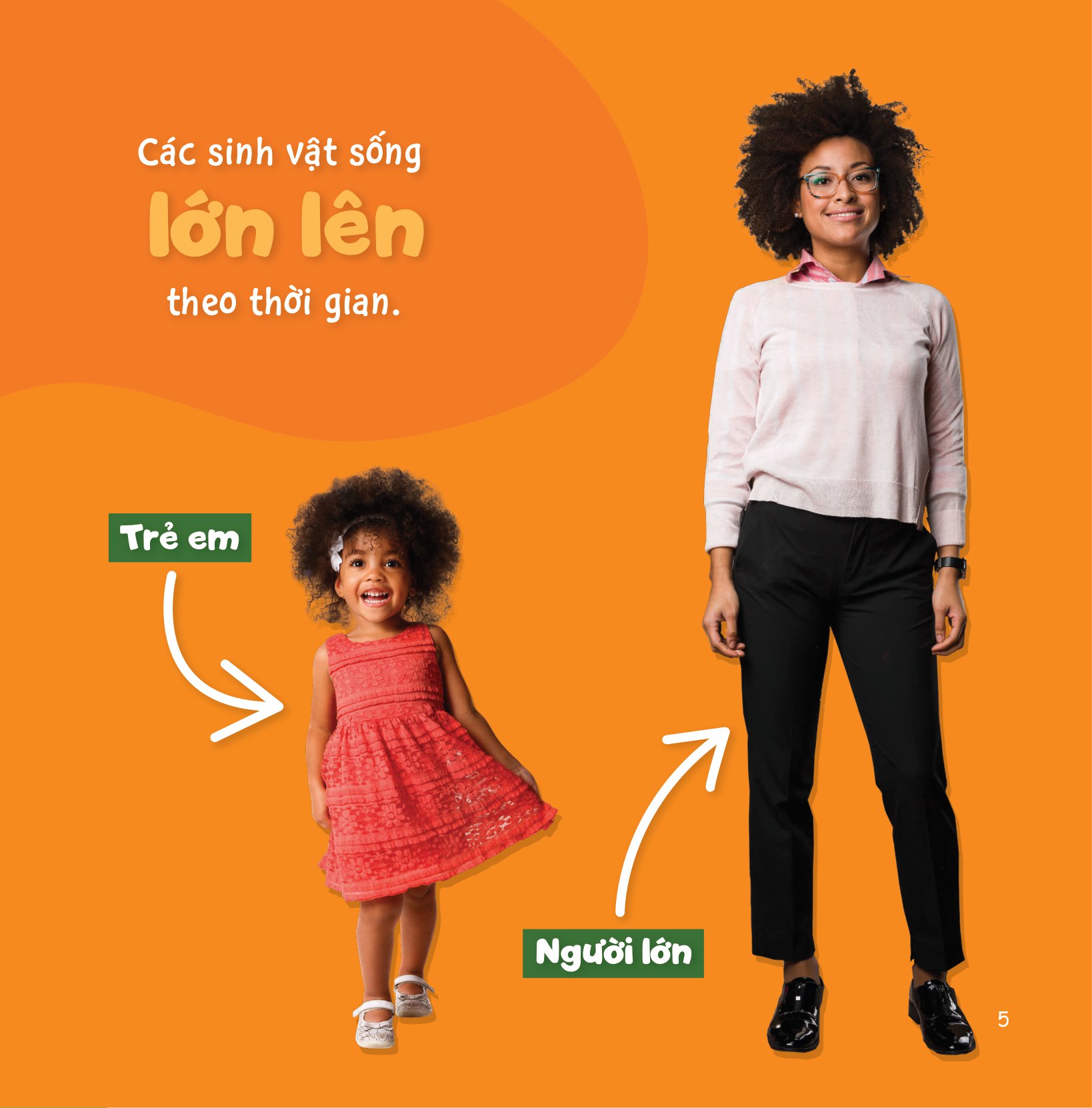 sự sinh trưởng kỳ diệu của vạn vật - vòng đời của gà - Ảnh 4