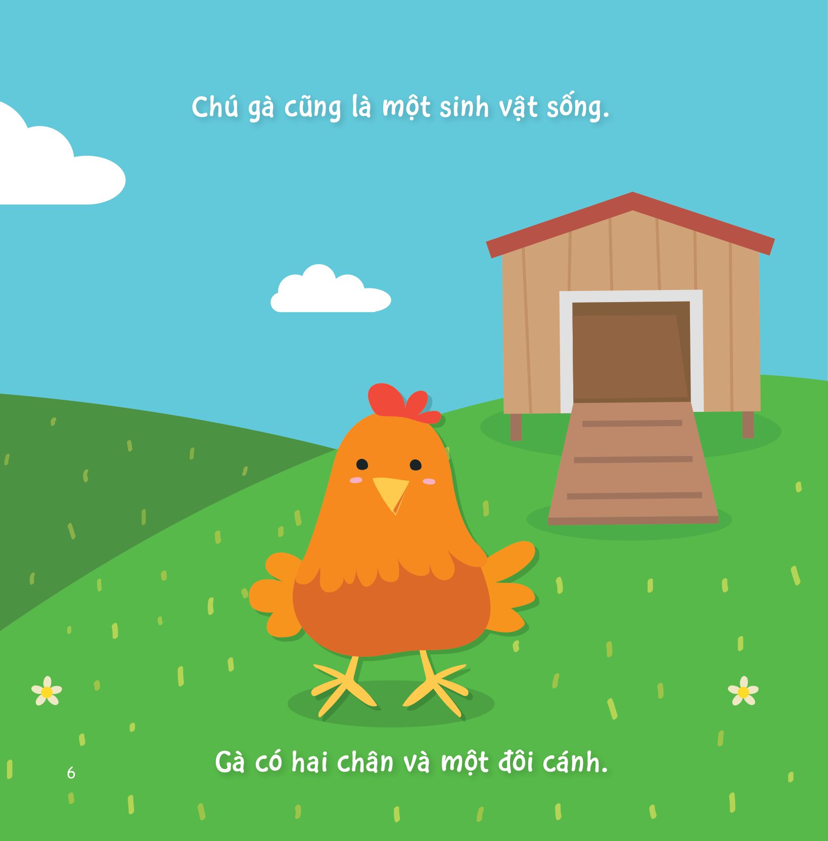 sự sinh trưởng kỳ diệu của vạn vật - vòng đời của gà - Ảnh 5