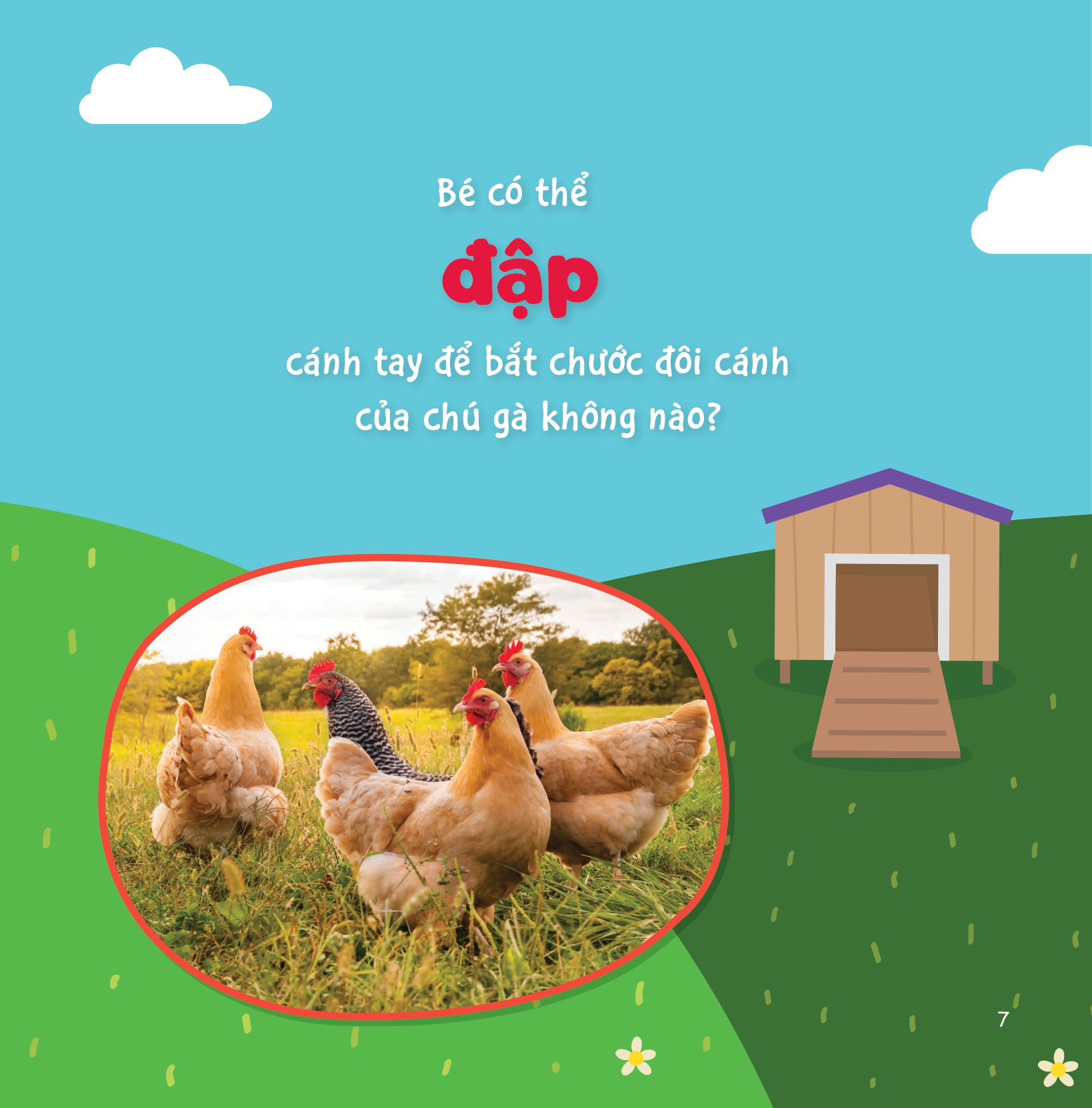 sự sinh trưởng kỳ diệu của vạn vật - vòng đời của gà - Ảnh 6