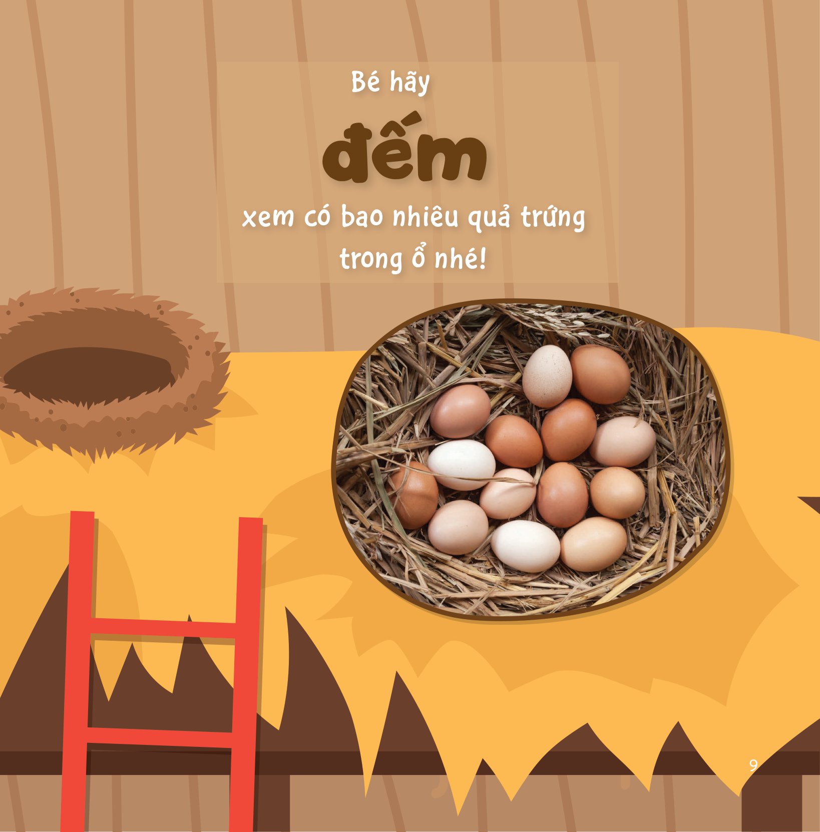 sự sinh trưởng kỳ diệu của vạn vật - vòng đời của gà - Ảnh 8