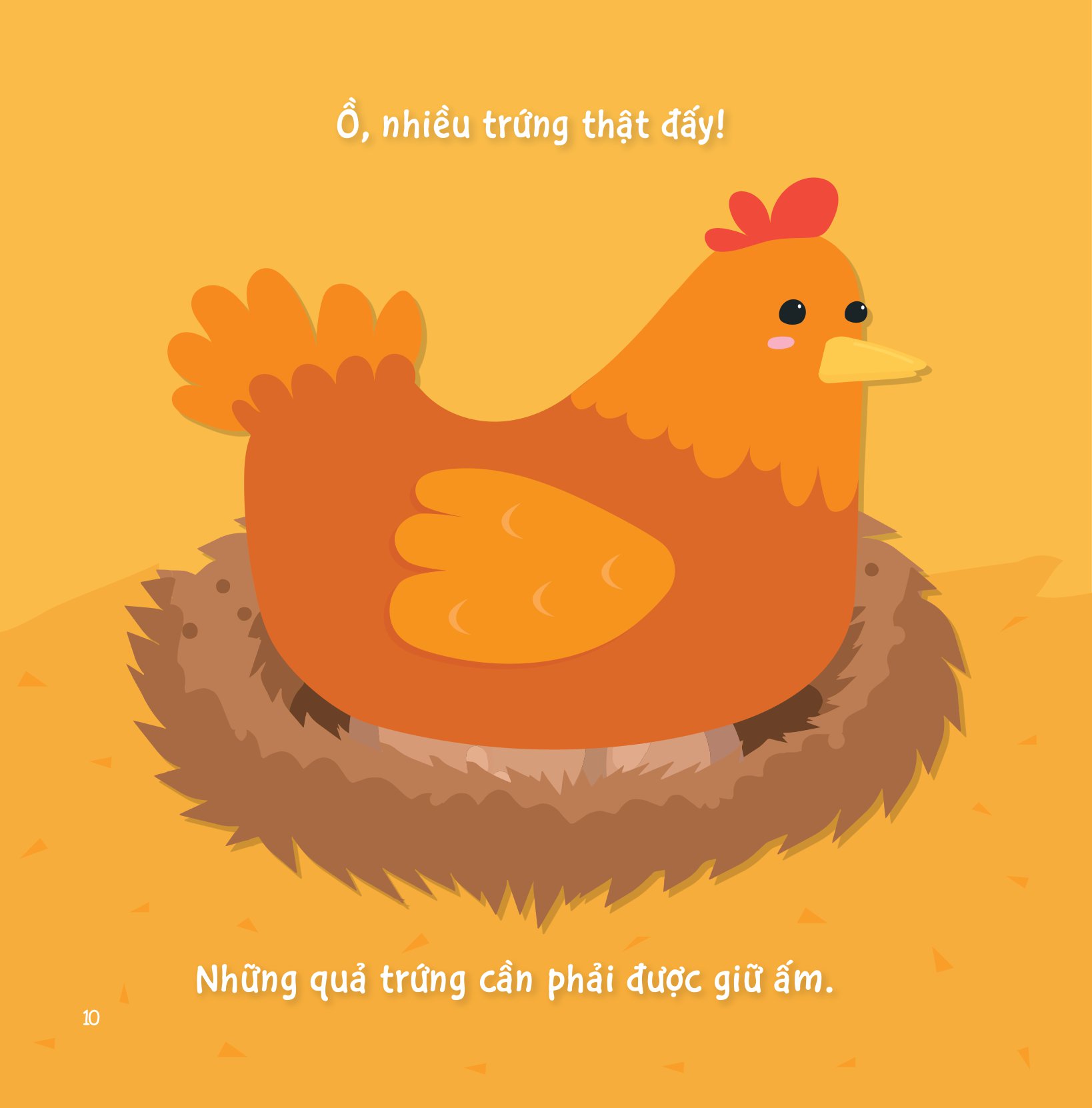 sự sinh trưởng kỳ diệu của vạn vật - vòng đời của gà - Ảnh 9