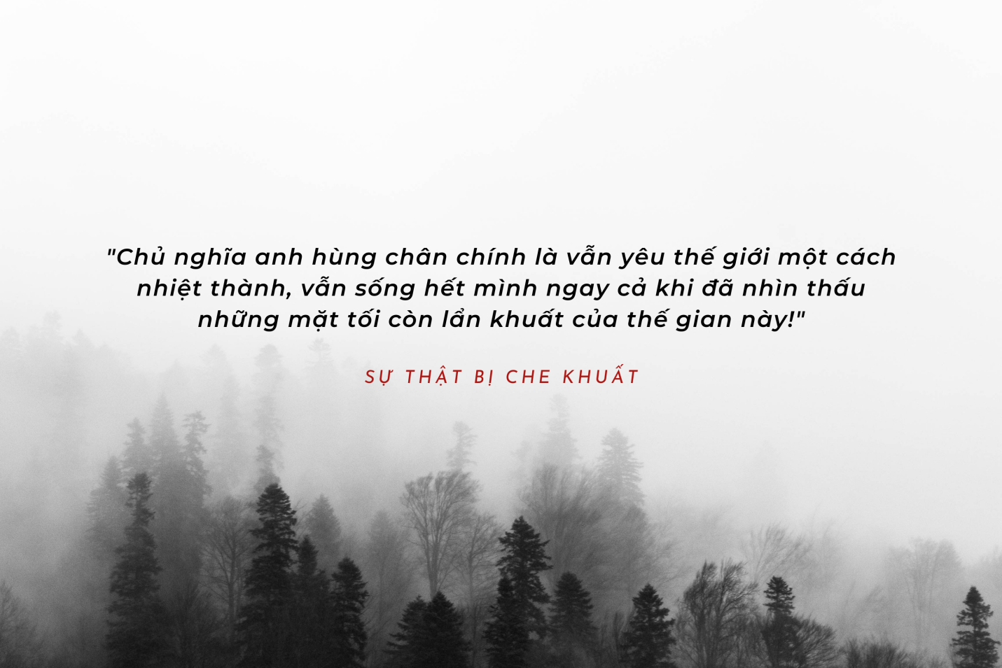 sự thật bị che khuất - Ảnh 4