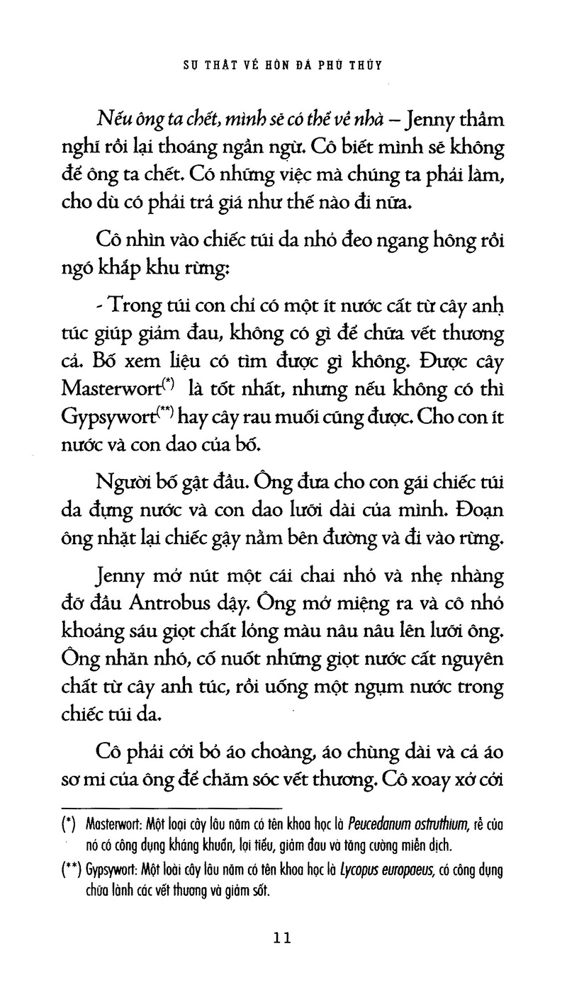 sự thật về hòn đá phù thủy - Ảnh 10