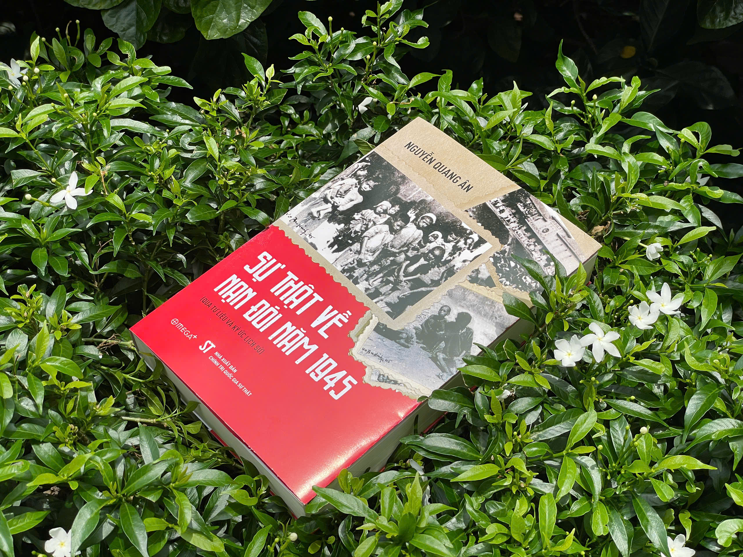 Sự Thật Về Nạn Đói Năm 1945 (Qua Tư Liệu Và Ký Ức Lịch Sử) - Ảnh 5