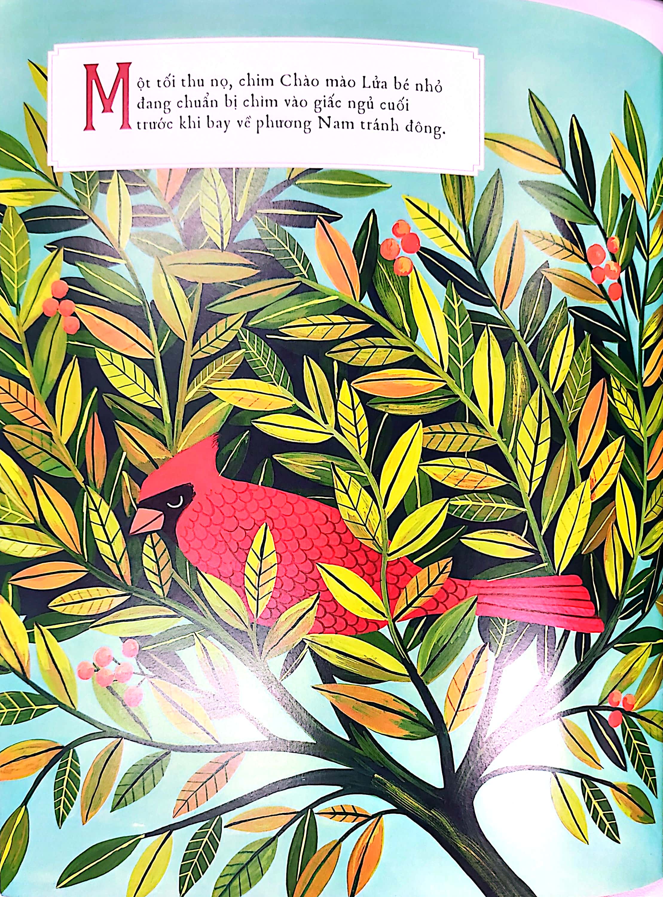 sự tích cây thường xanh - Ảnh 3