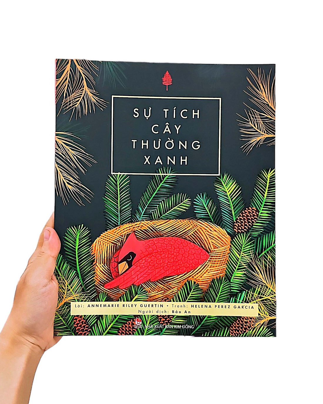 sự tích cây thường xanh - Ảnh 7