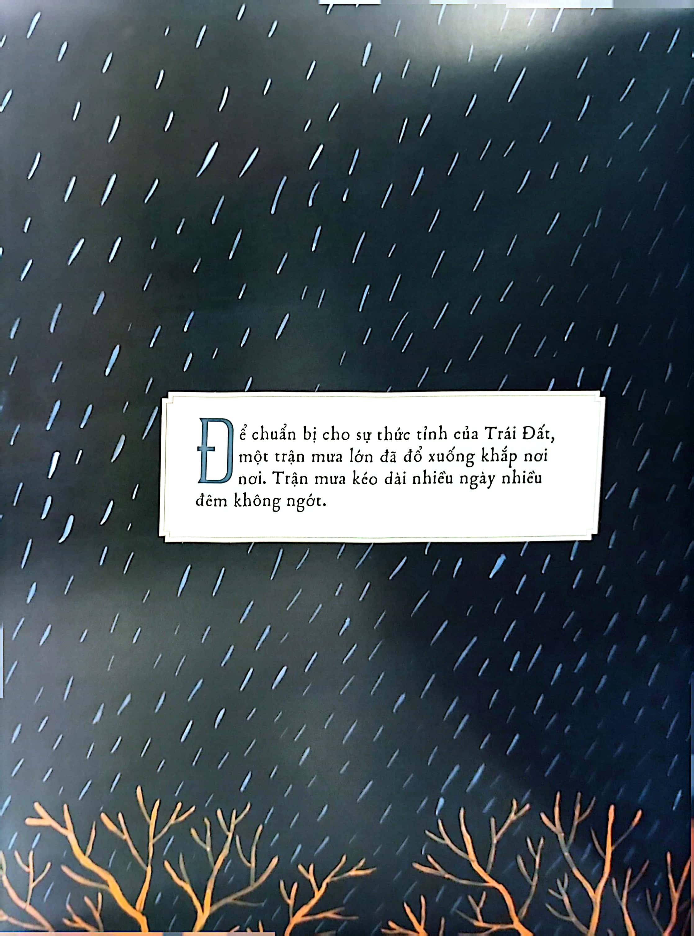 sự tích chim bảy màu - Ảnh 4