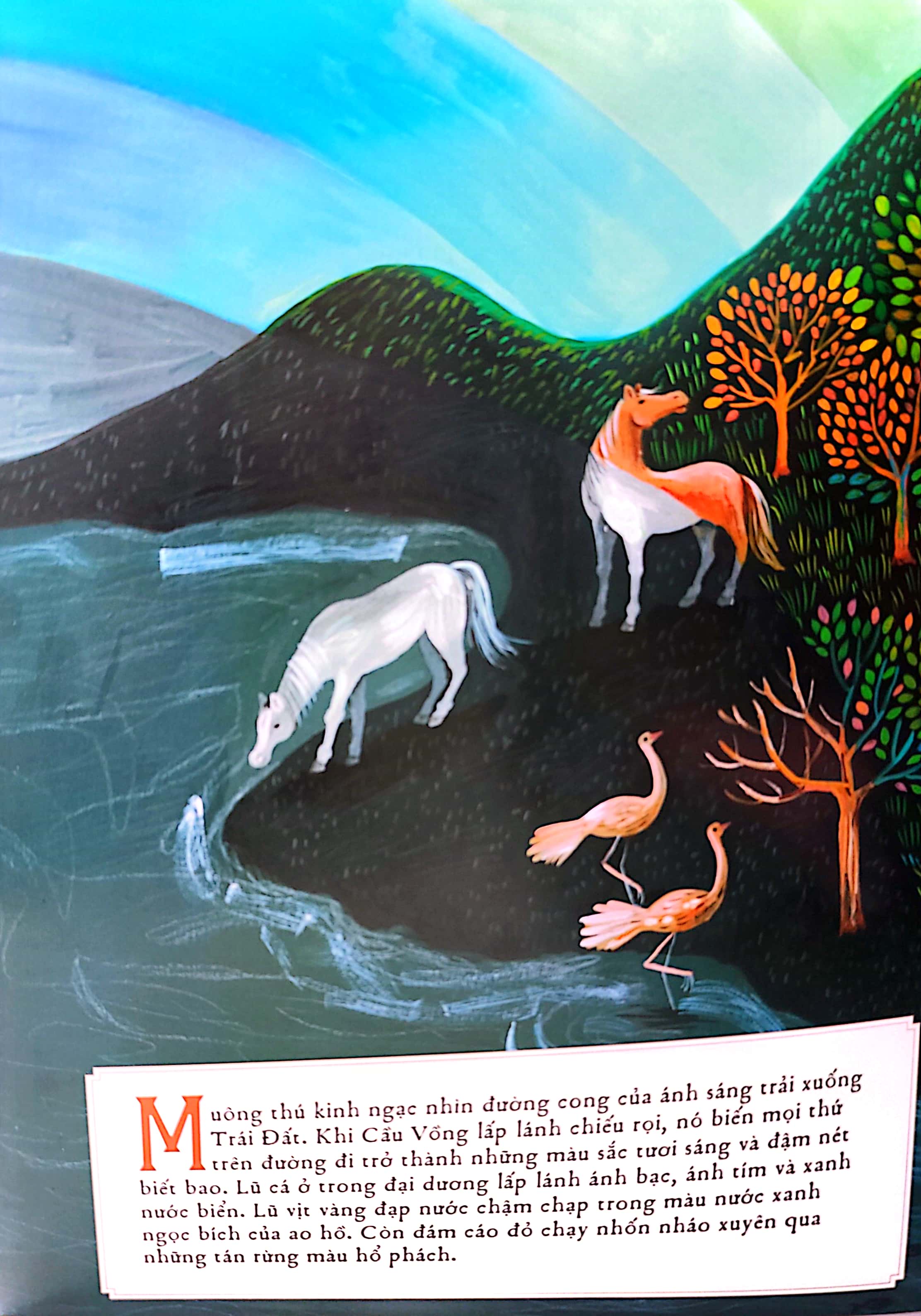 sự tích chim bảy màu - Ảnh 5