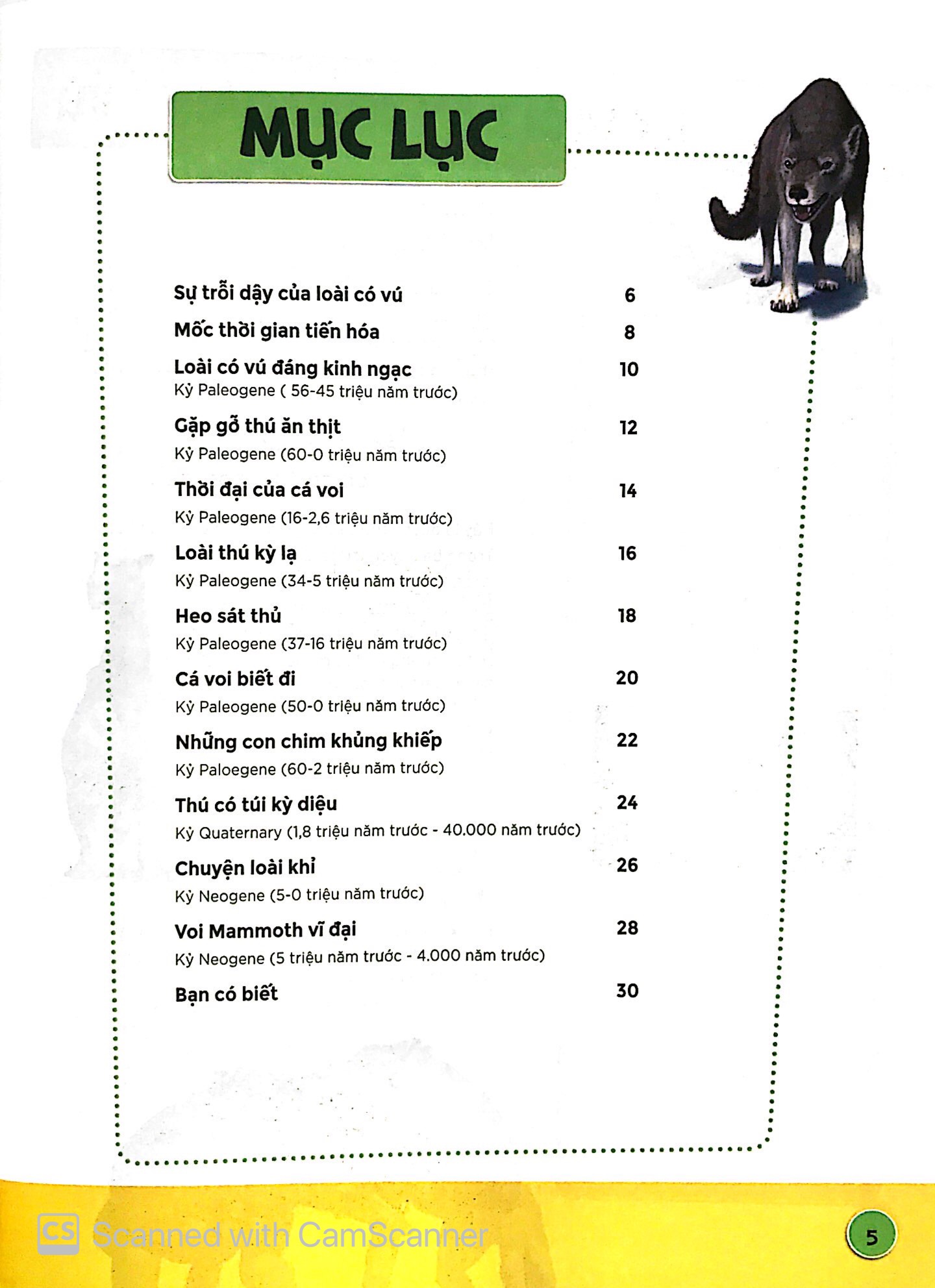 sự tiến hóa - sự trỗi dậy của loài có vú - Ảnh 3