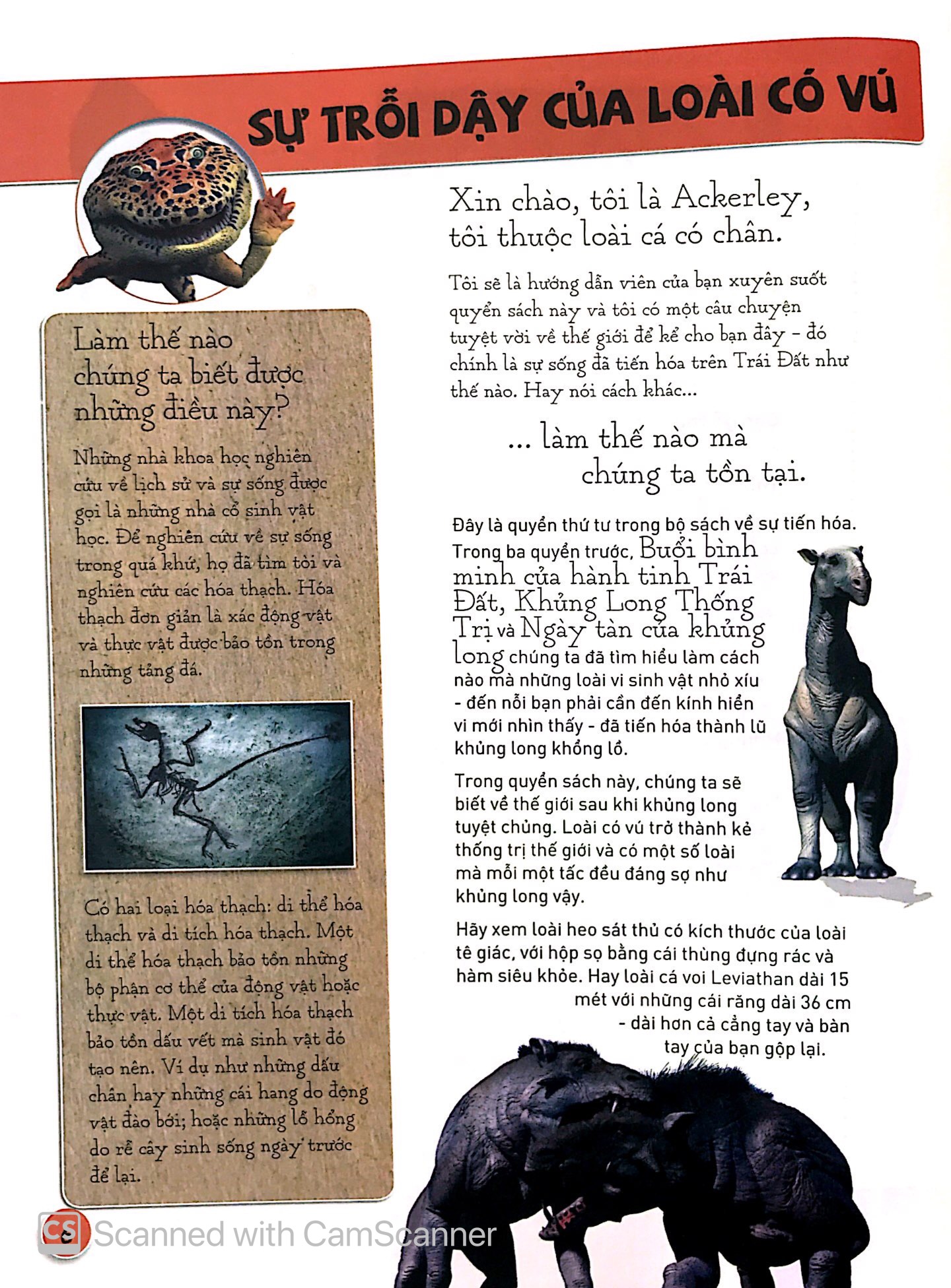 sự tiến hóa - sự trỗi dậy của loài có vú - Ảnh 4