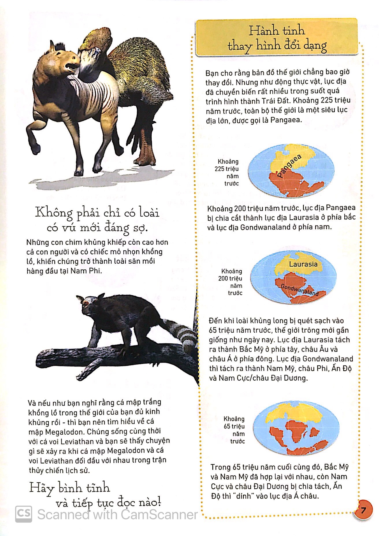 sự tiến hóa - sự trỗi dậy của loài có vú - Ảnh 5