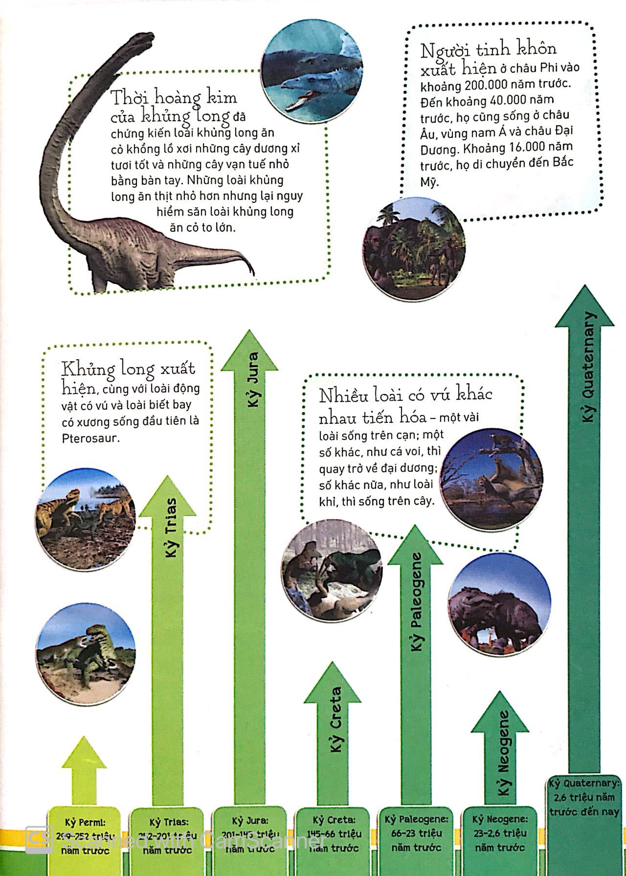 sự tiến hóa - sự trỗi dậy của loài có vú - Ảnh 7