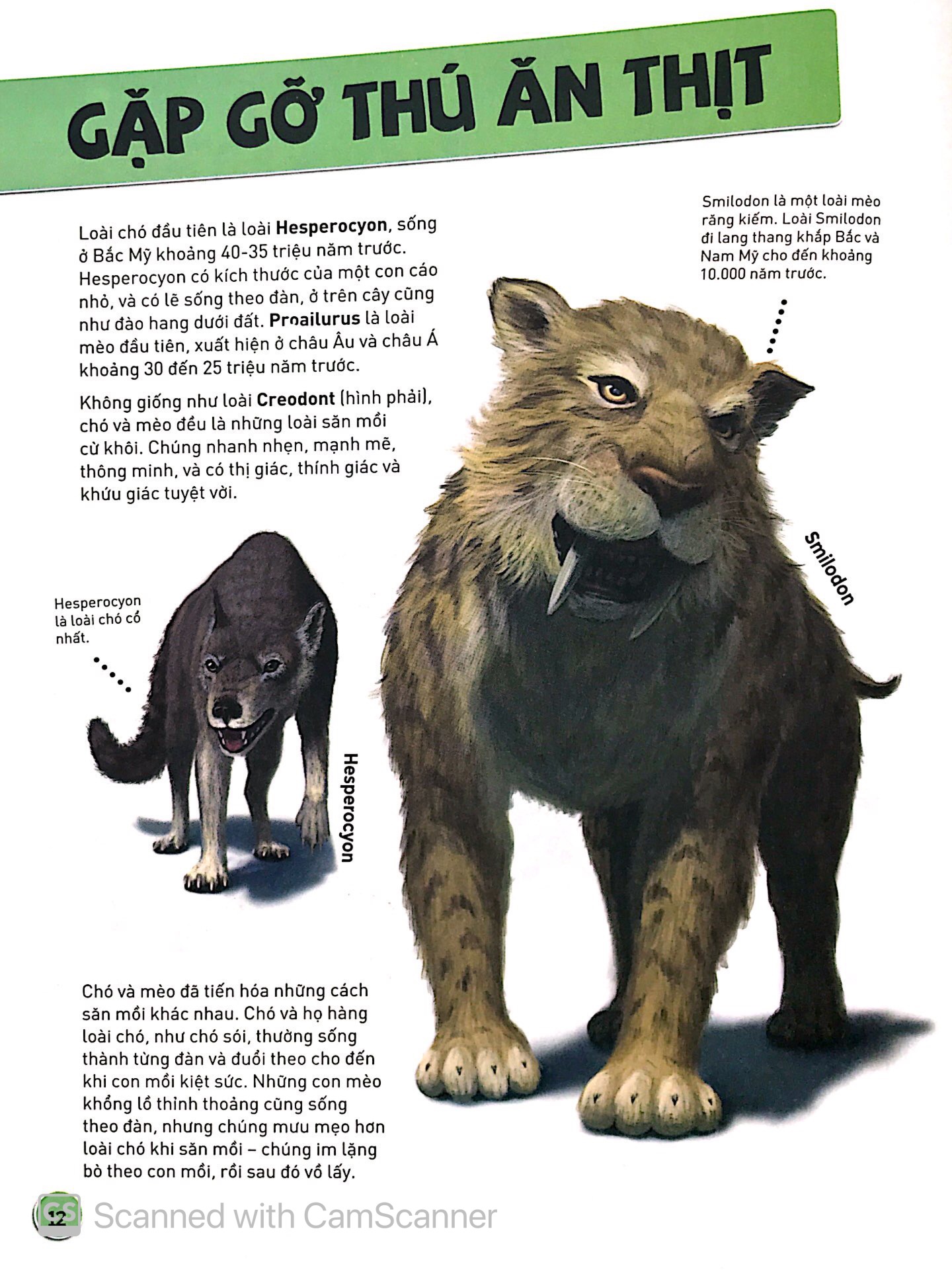 sự tiến hóa - sự trỗi dậy của loài có vú - Ảnh 8