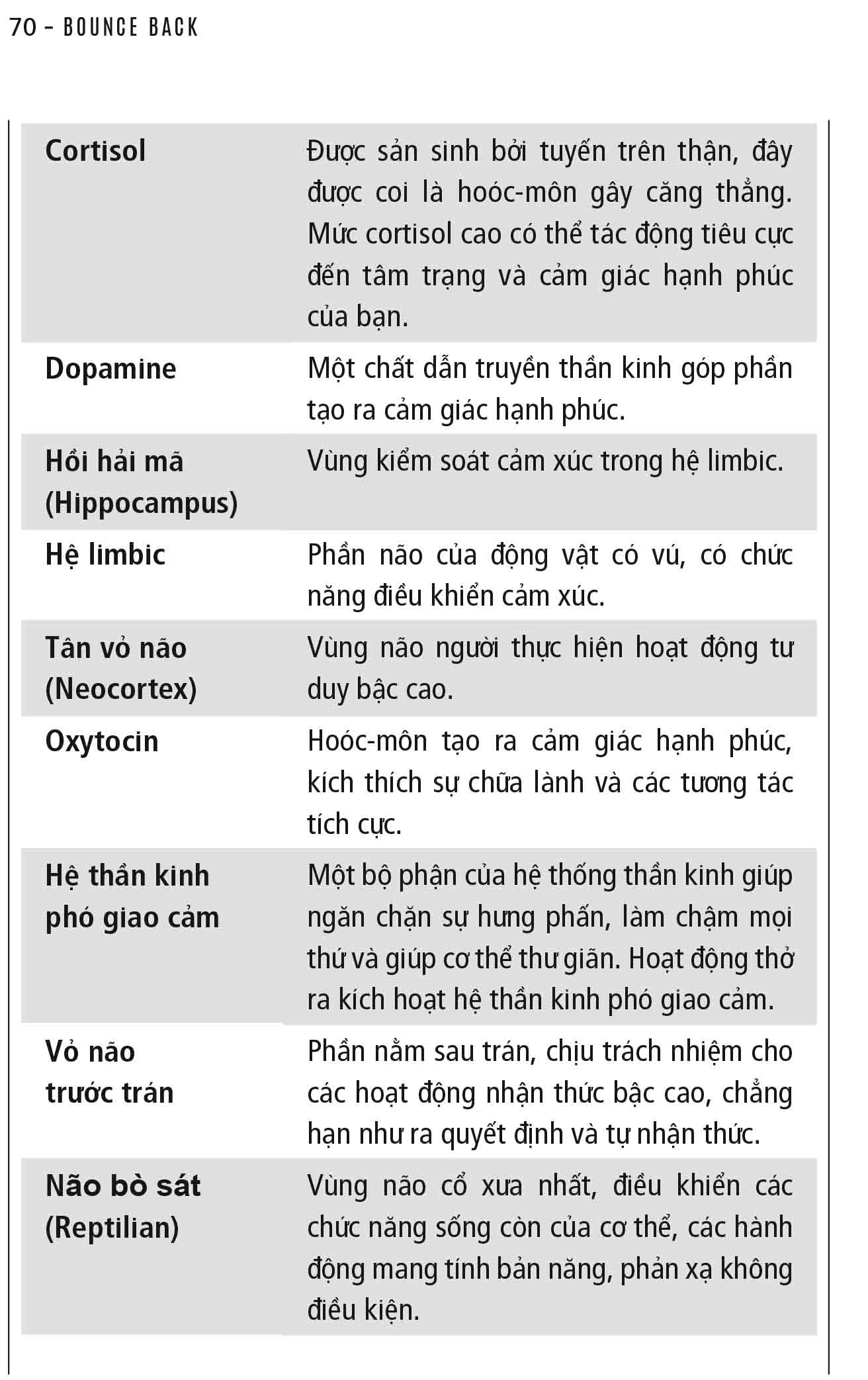 sức bật tinh thần - xuyên qua thất bại để thành công - bounce back - Ảnh 3