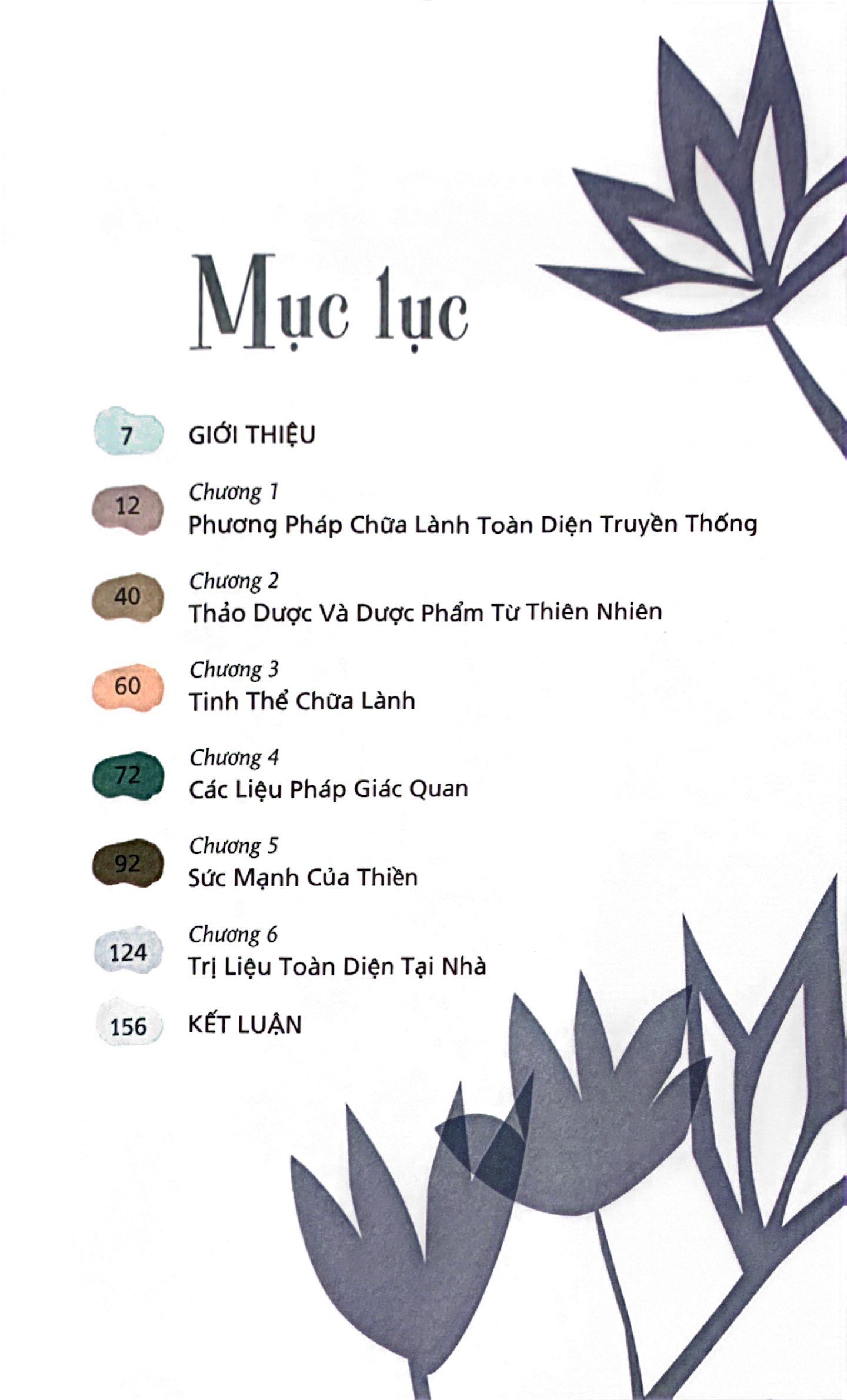 sức mạnh chữa lành từ tự nhiên và thiền định - Ảnh 3