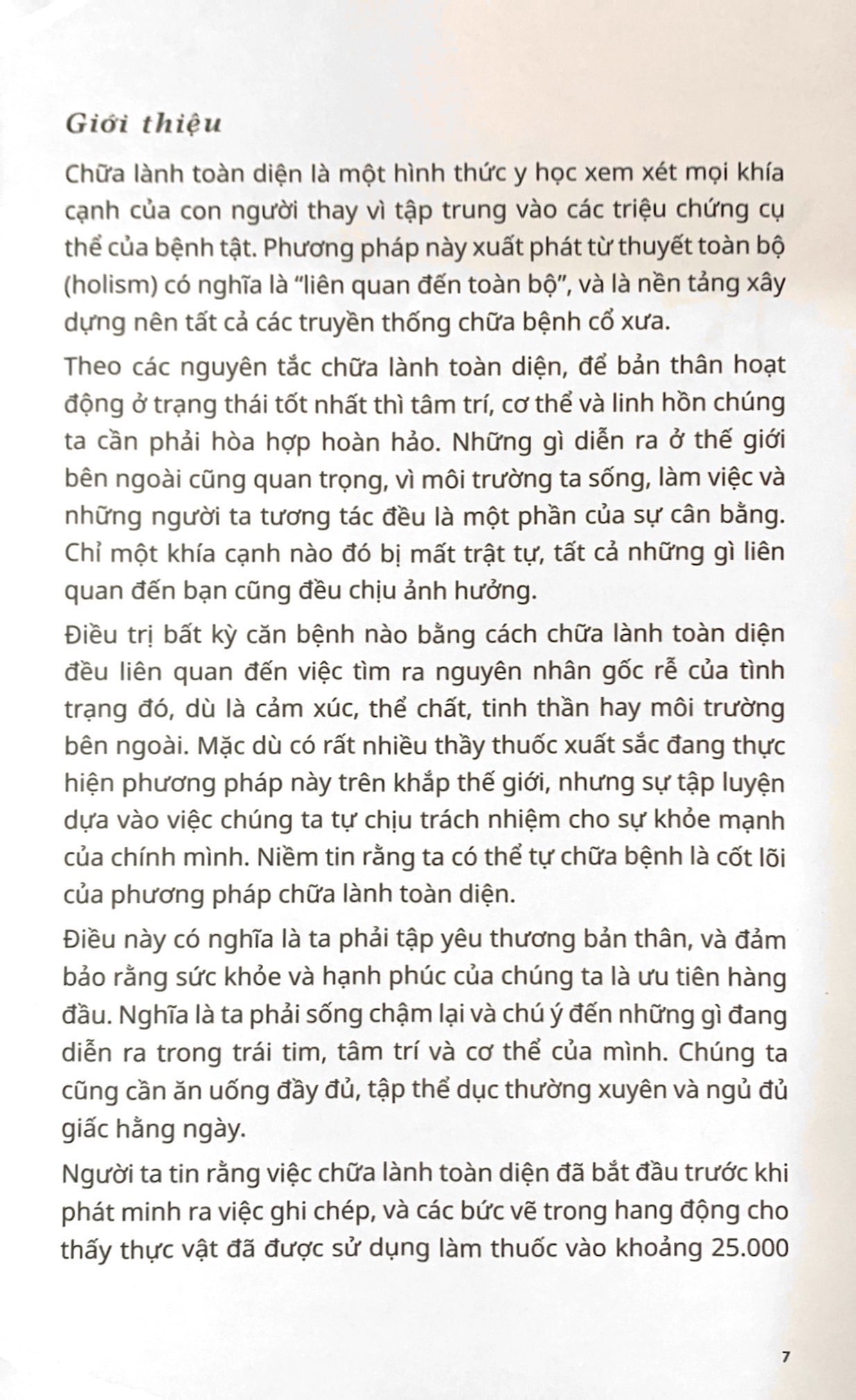 sức mạnh chữa lành từ tự nhiên và thiền định - Ảnh 4