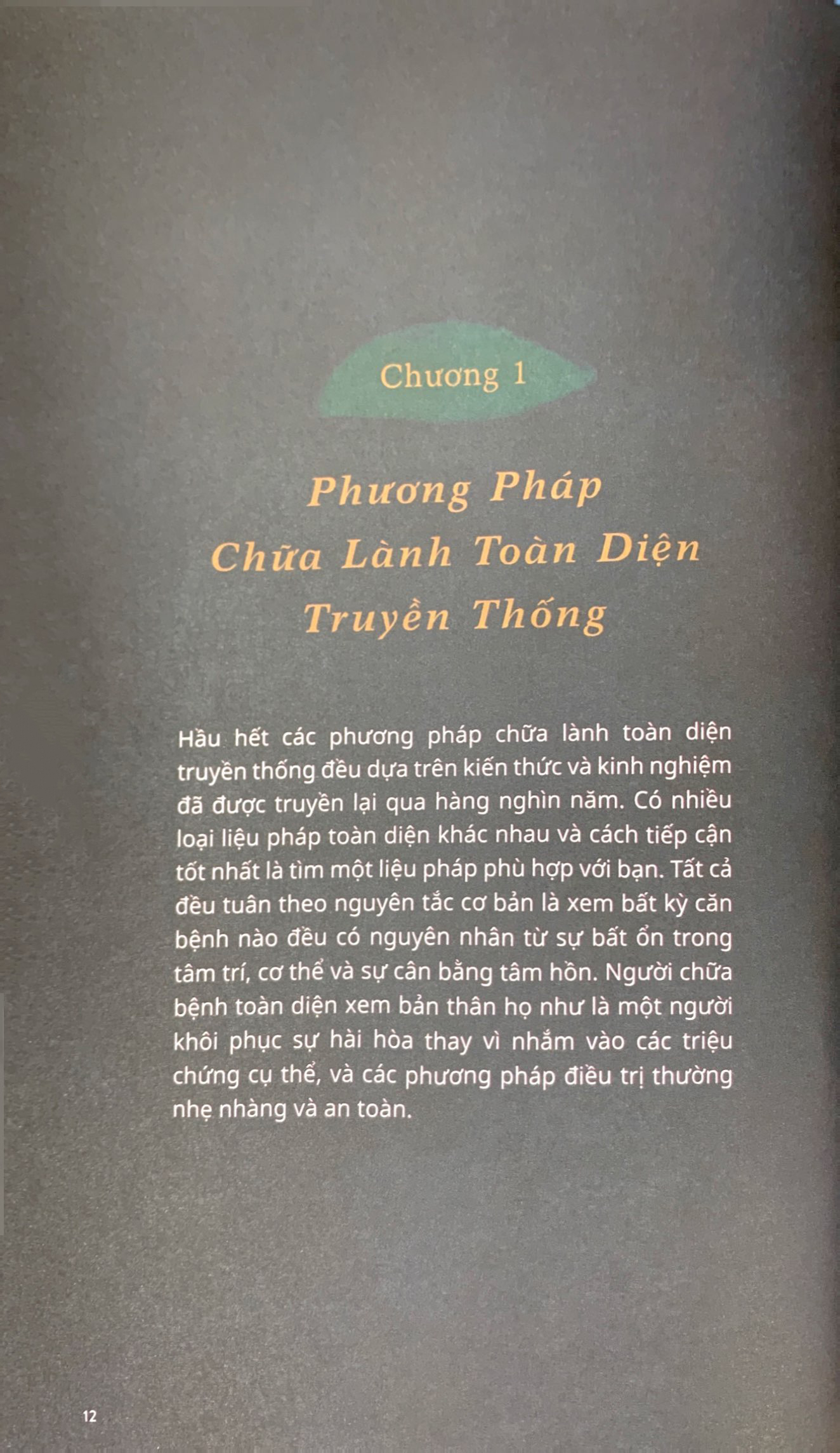 sức mạnh chữa lành từ tự nhiên và thiền định - Ảnh 7