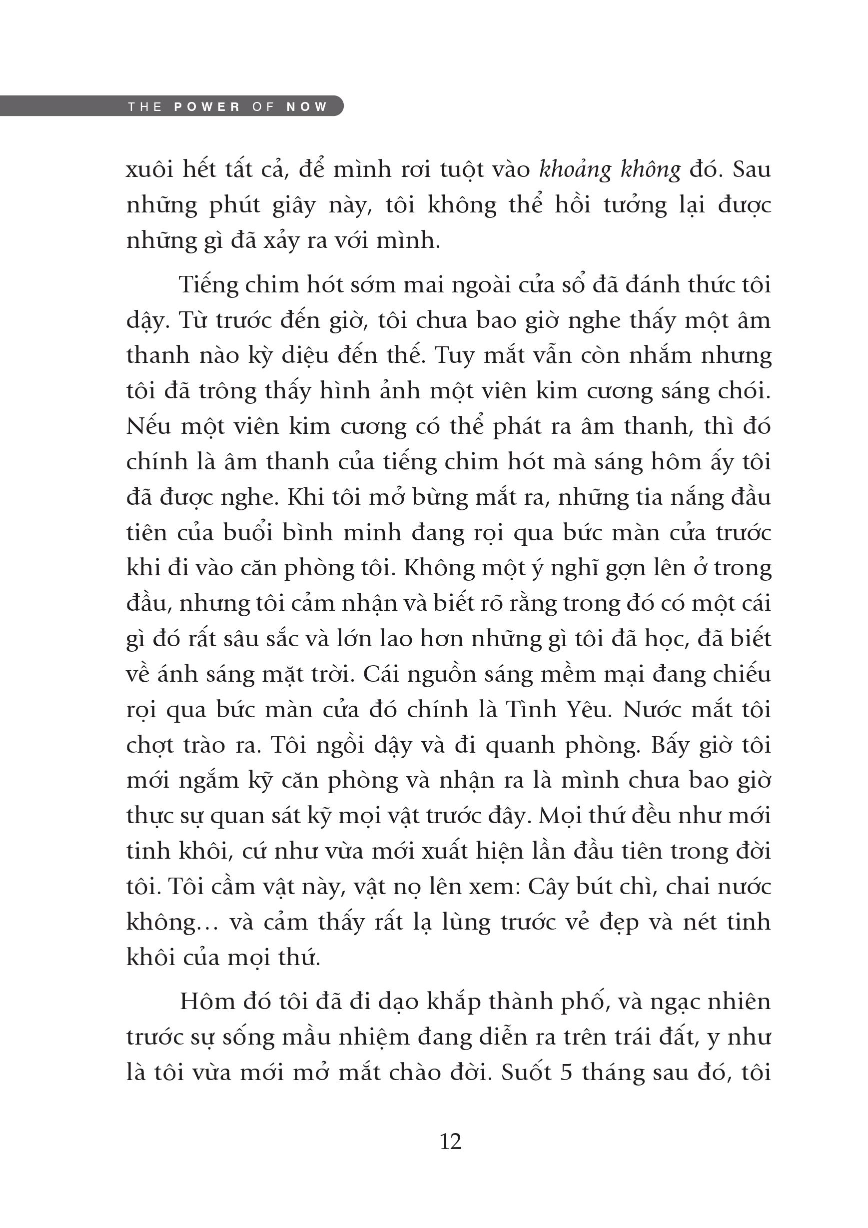 sức mạnh của hiện tại (tái bản 2021) - Ảnh 3